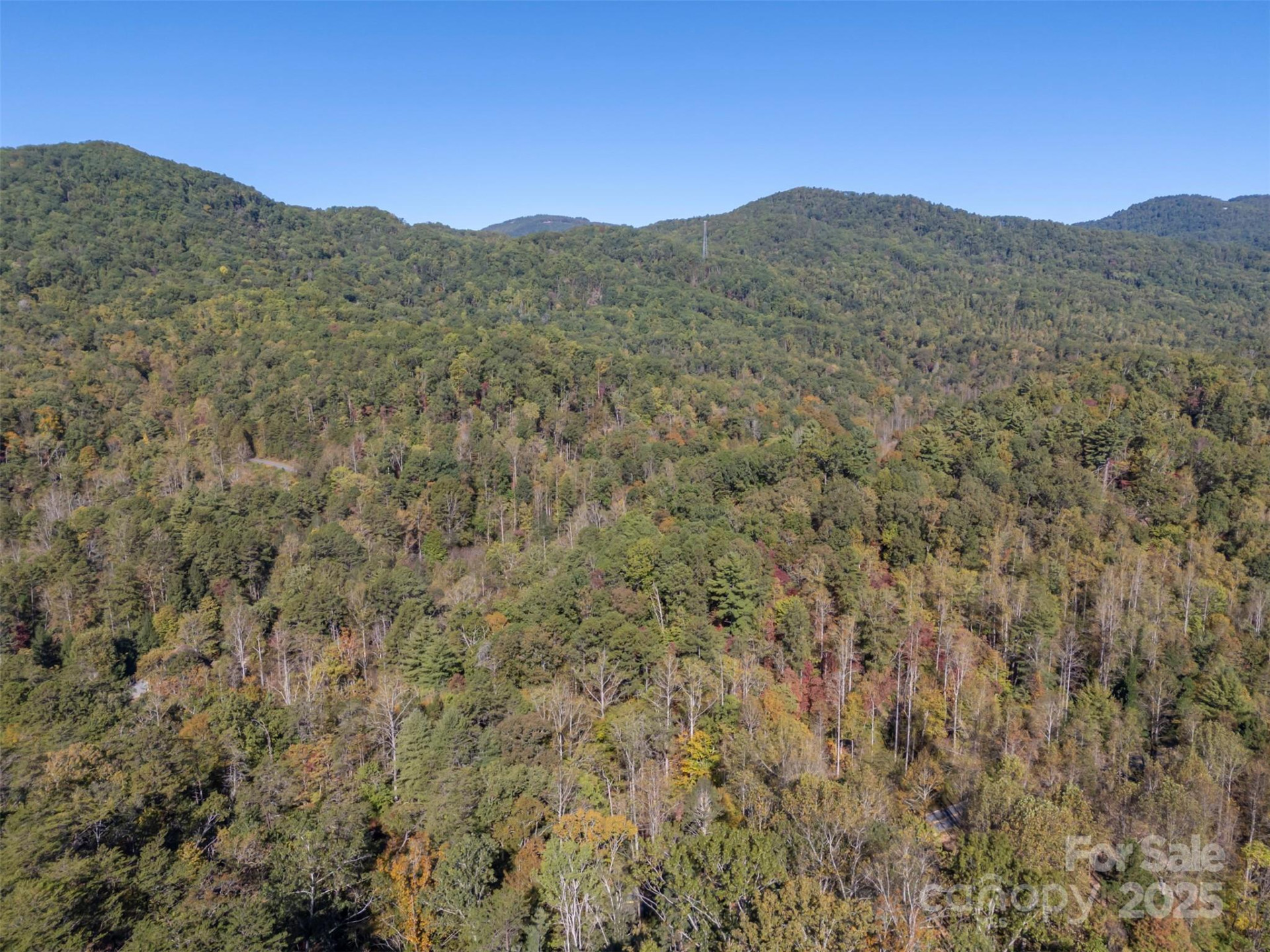 3298 Buffalo Creek Road - Photo 6