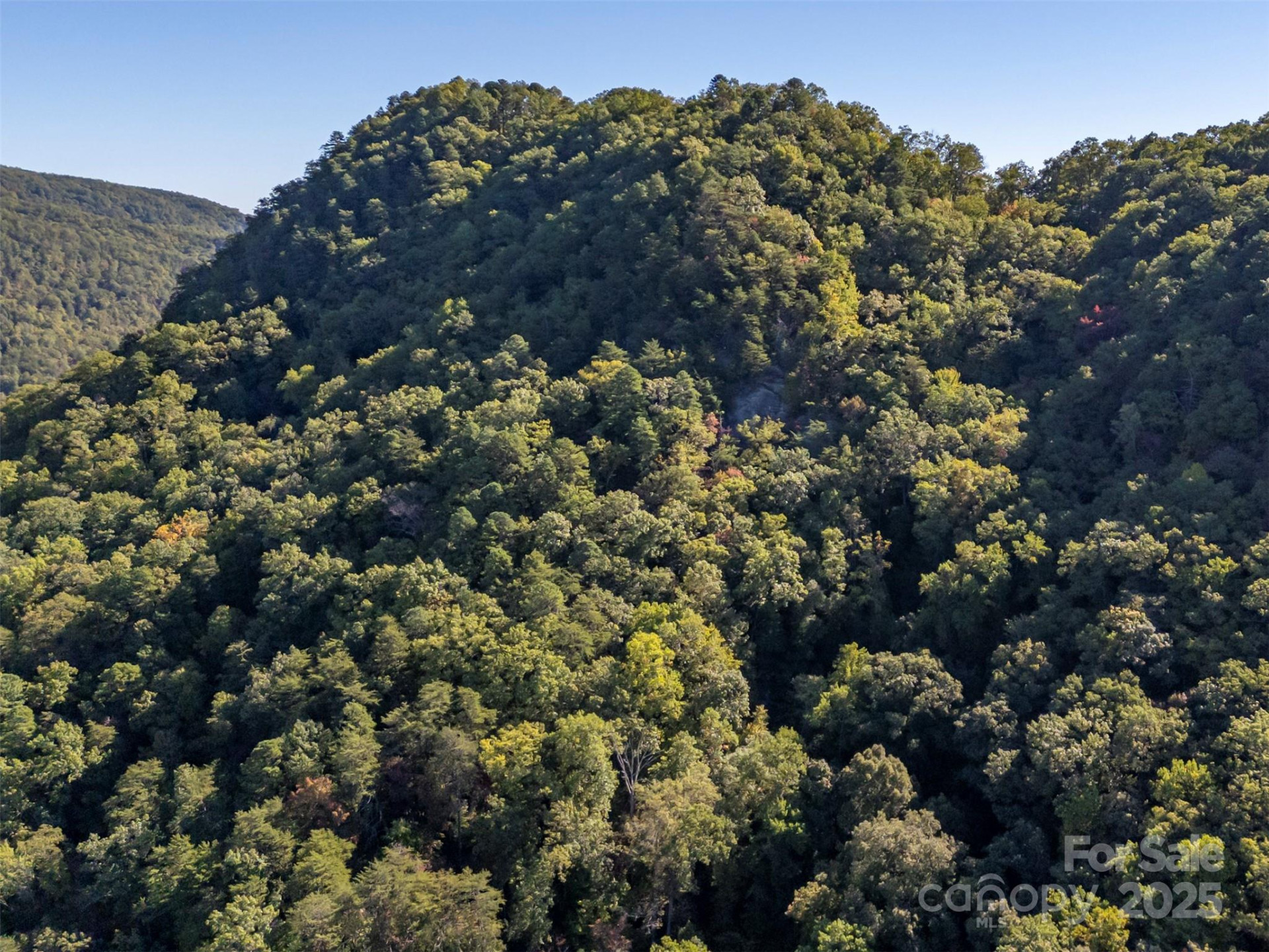 3298 Buffalo Creek Road - Photo 7