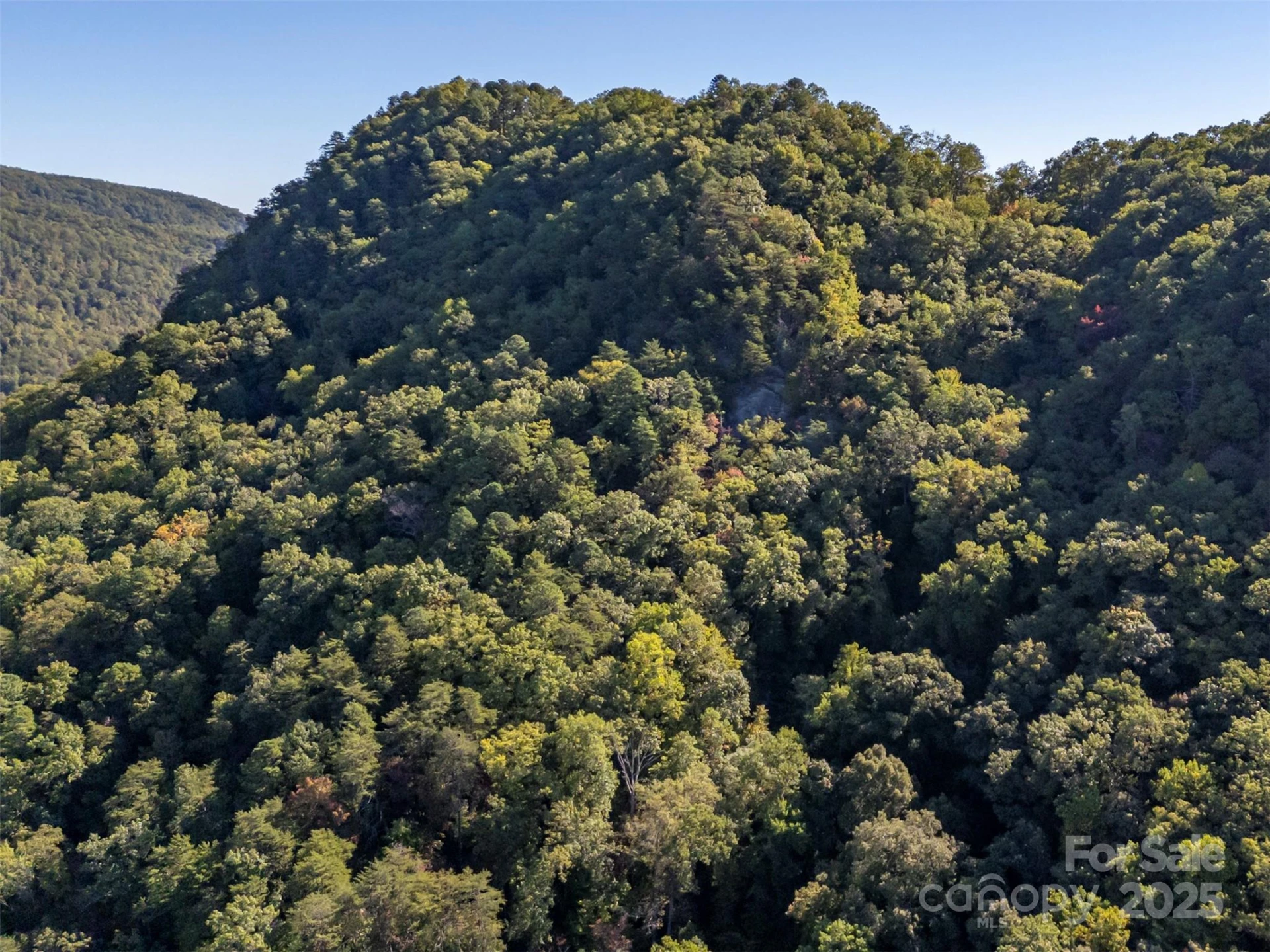 3298 Buffalo Creek Road - Photo 7