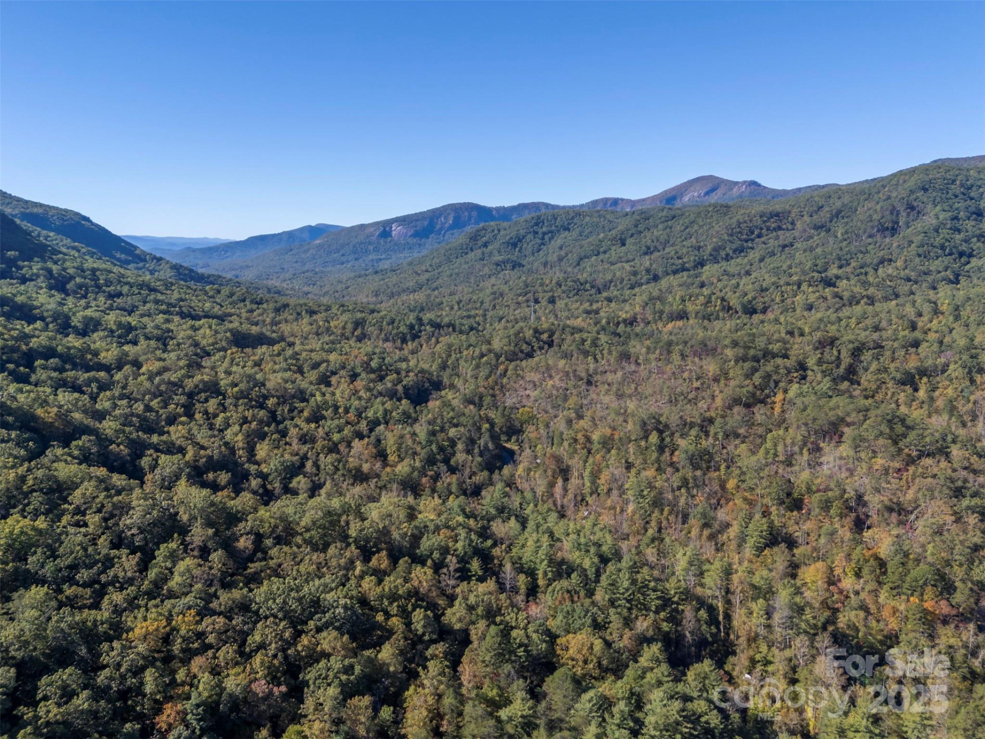 3298 Buffalo Creek Road - Photo 8