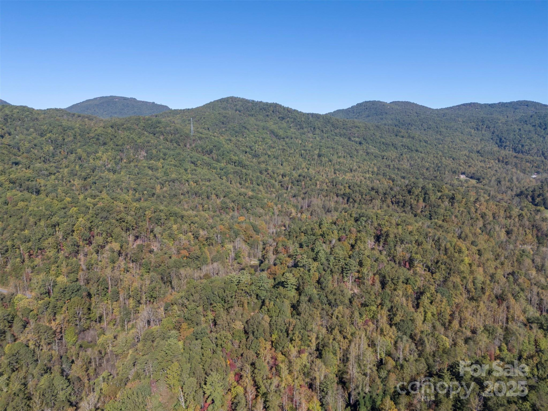3298 Buffalo Creek Road - Photo 9