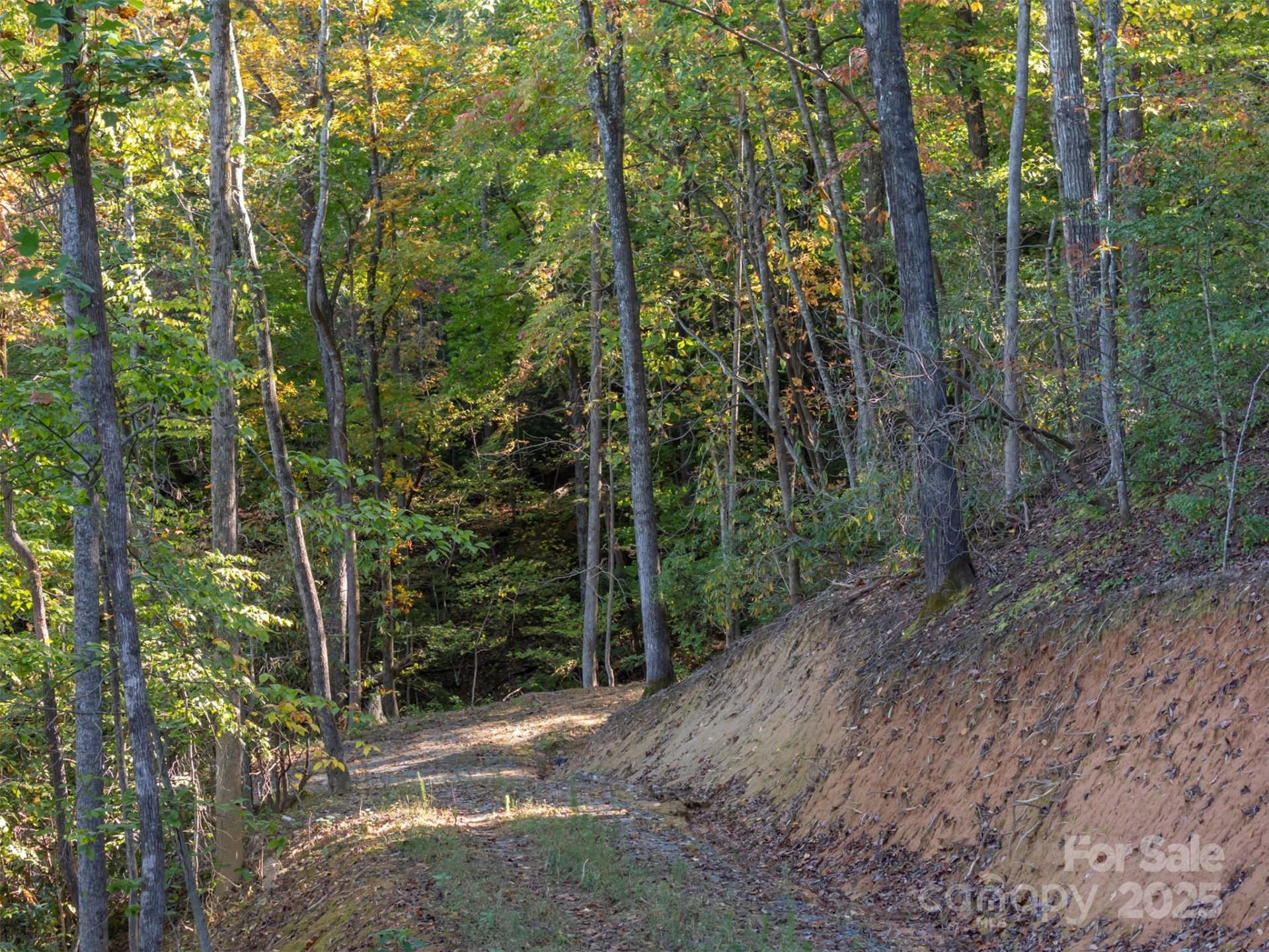 3298 Buffalo Creek Road - Photo 10