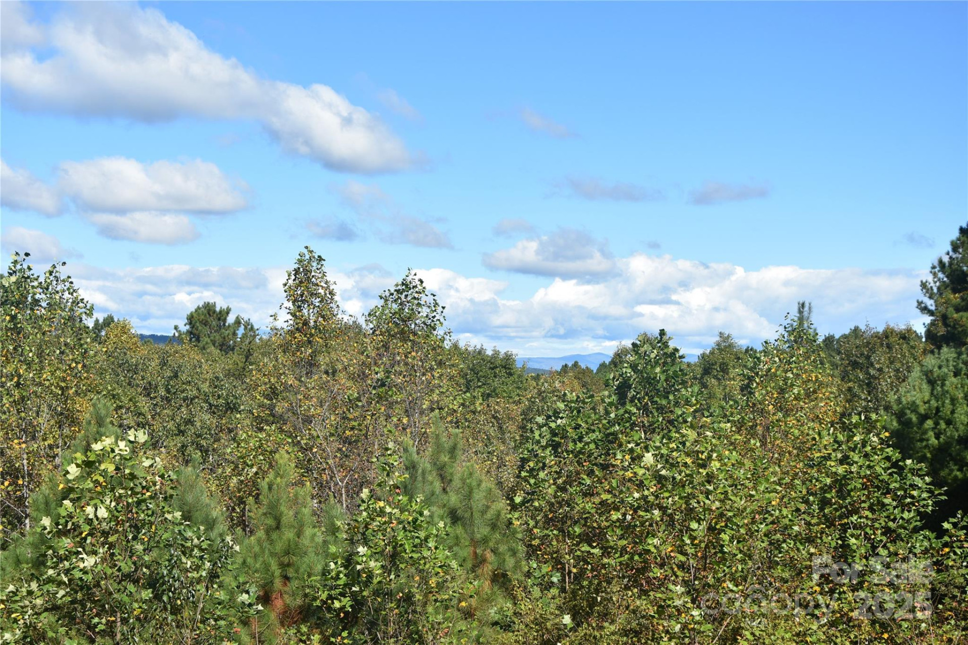 80 Grandview Loop - Photo 19