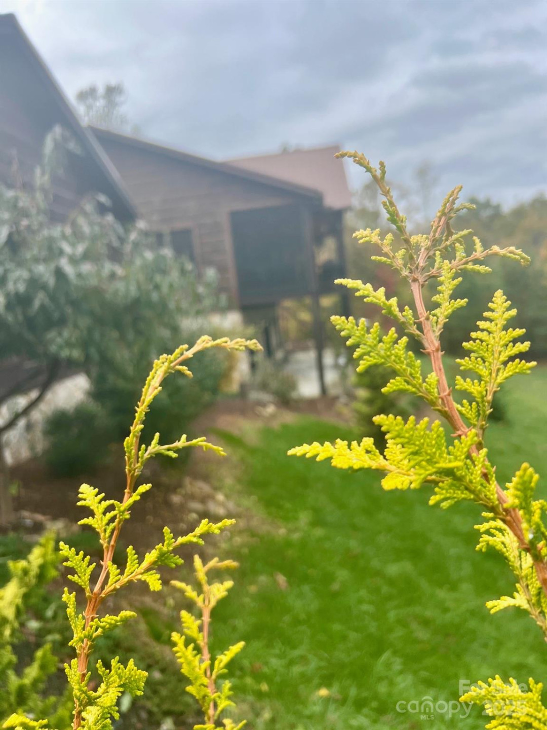 80 Grandview Loop - Photo 38