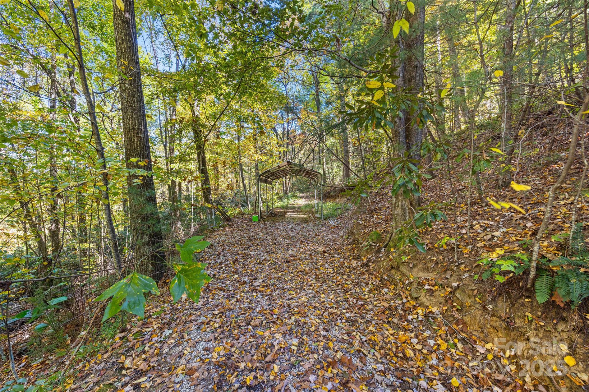 1308 Bell Mountain Road - Photo 35