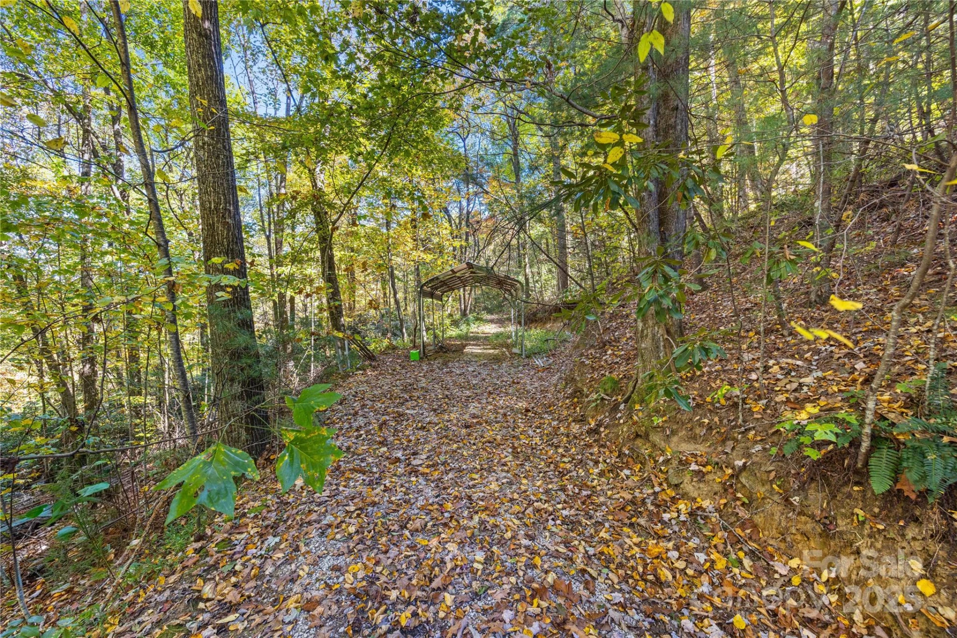 1308 Bell Mountain Road - Photo 35