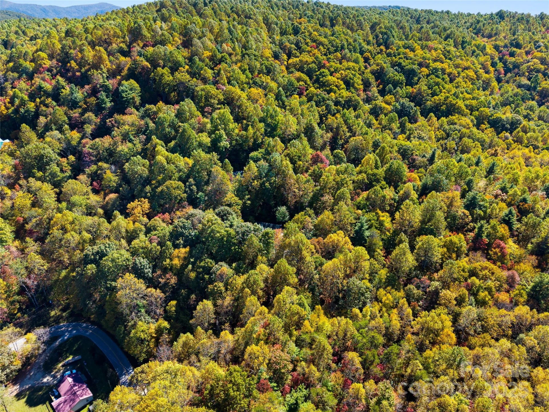 1308 Bell Mountain Road - Photo 37