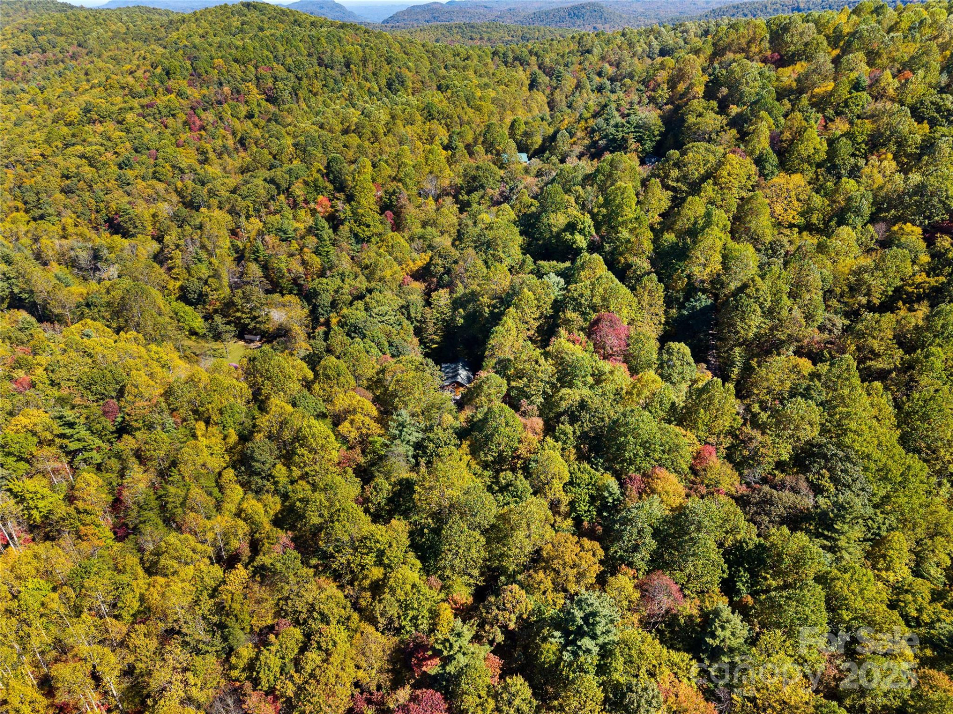 1308 Bell Mountain Road - Photo 38