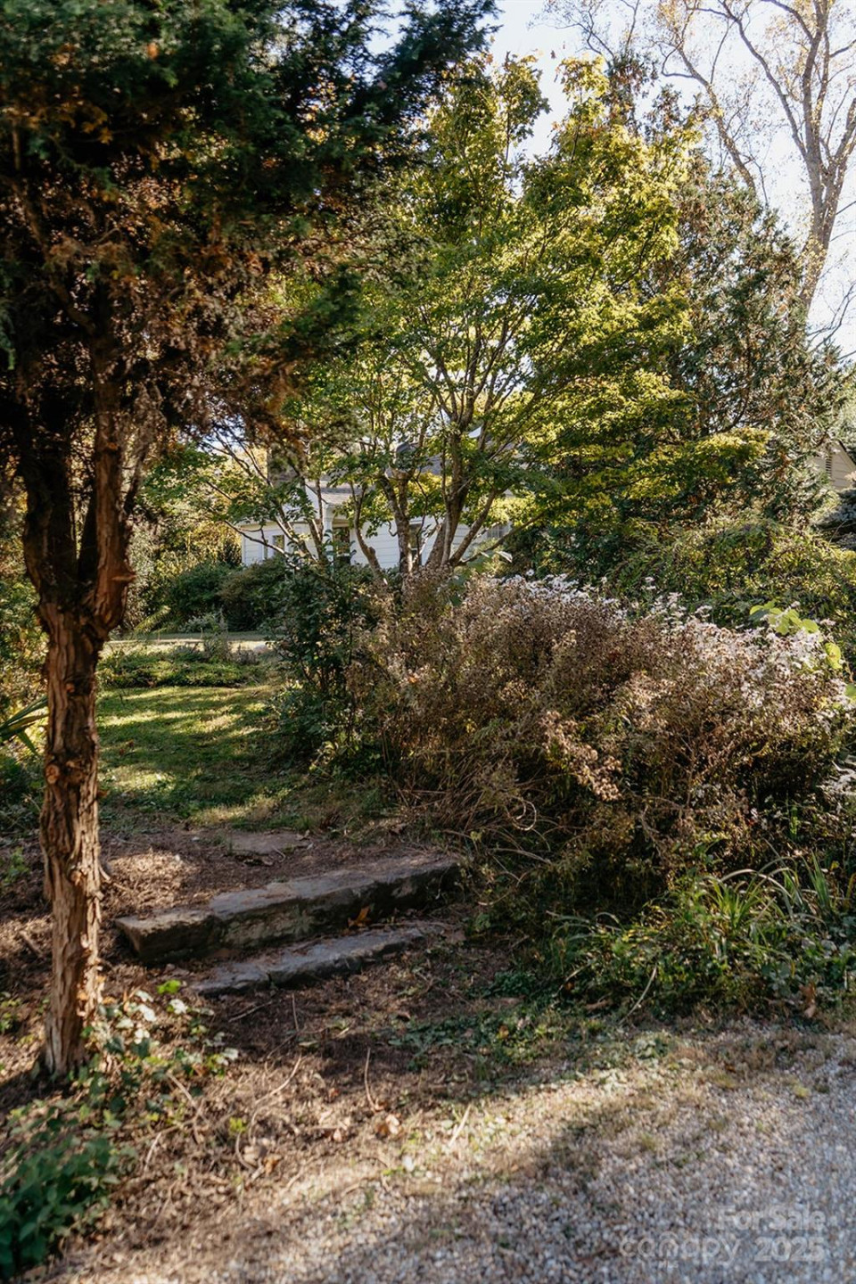 95 Aurora Drive - Photo 4