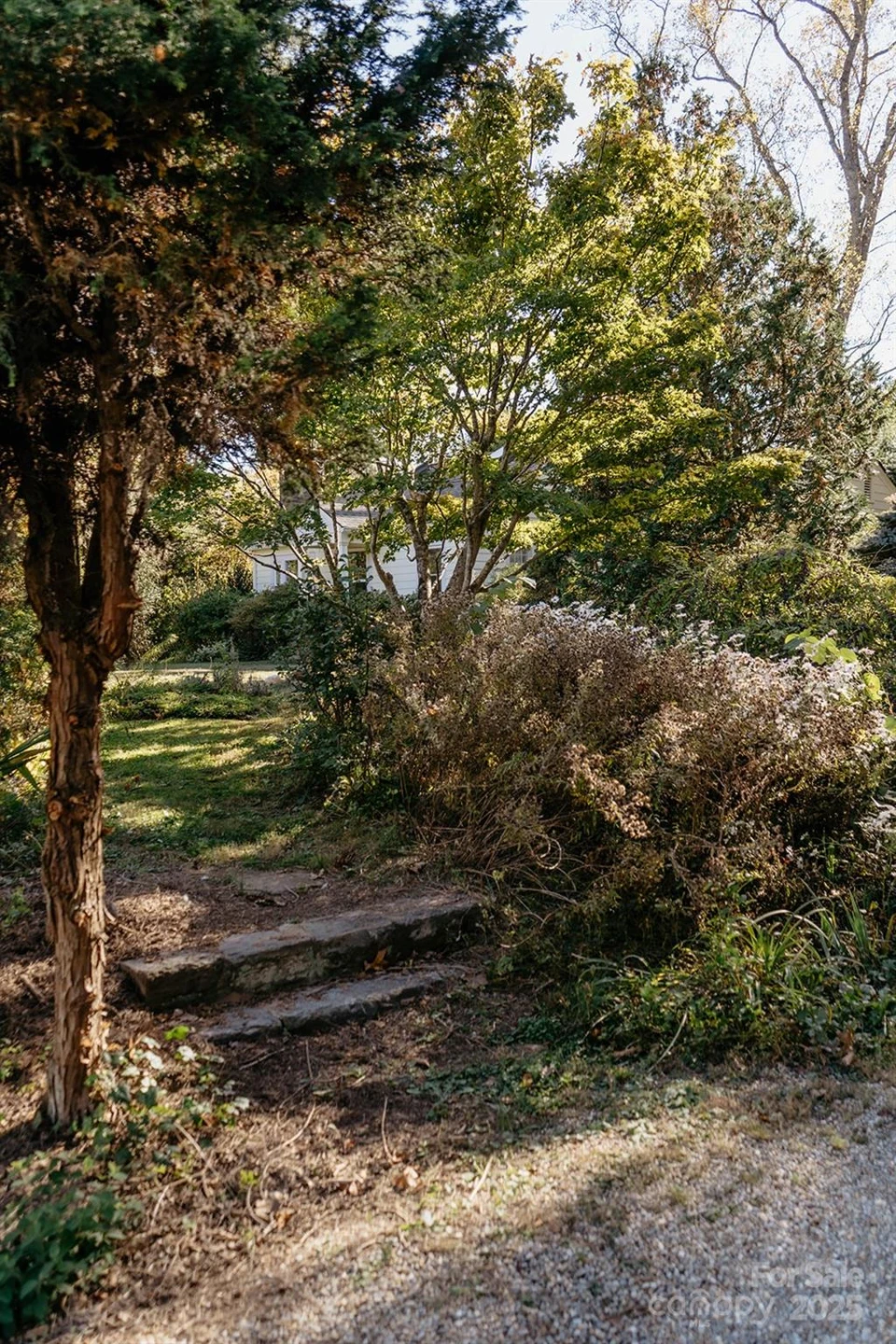 95 Aurora Drive - Photo 4