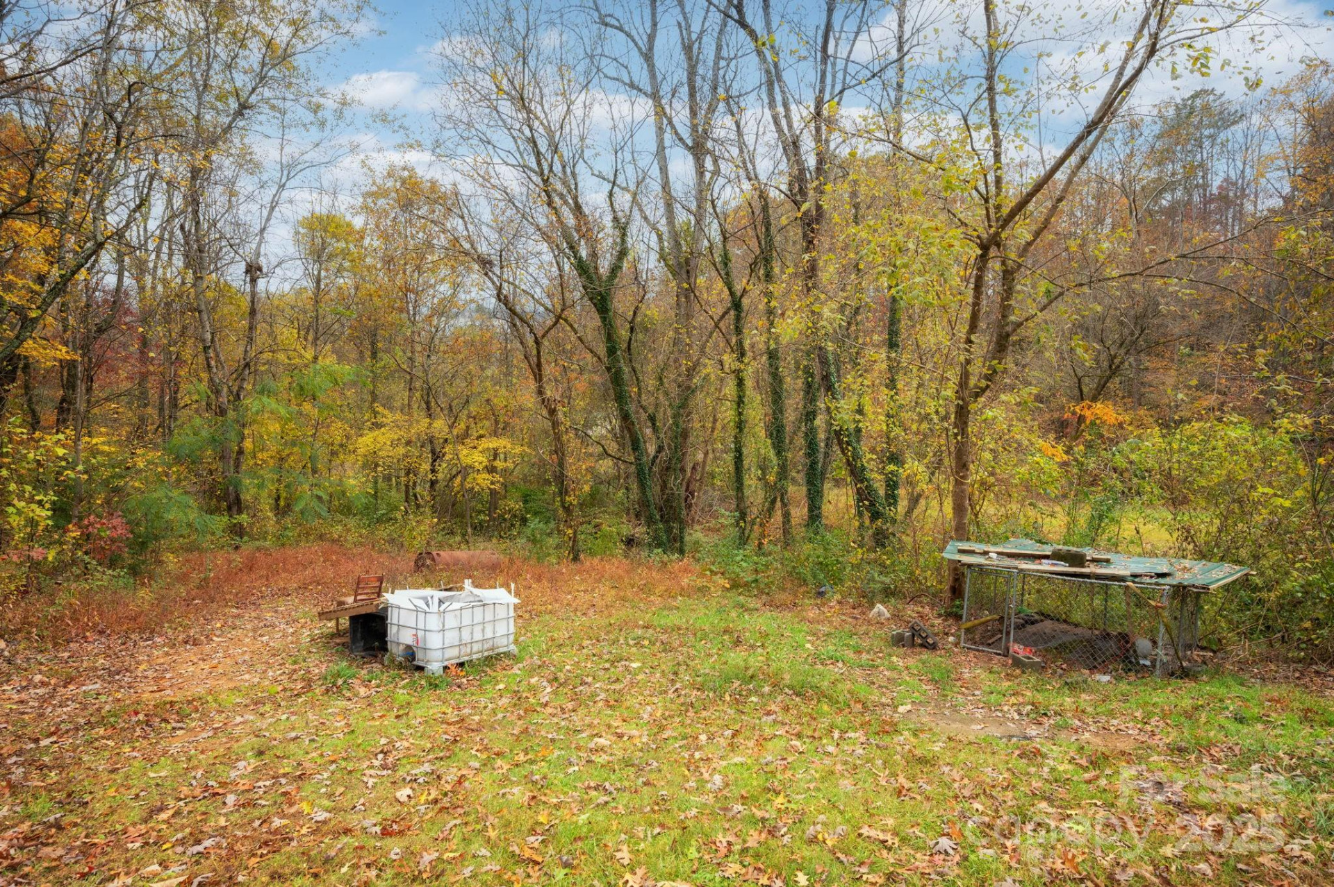 226 Mount Allen Heights - Photo 11