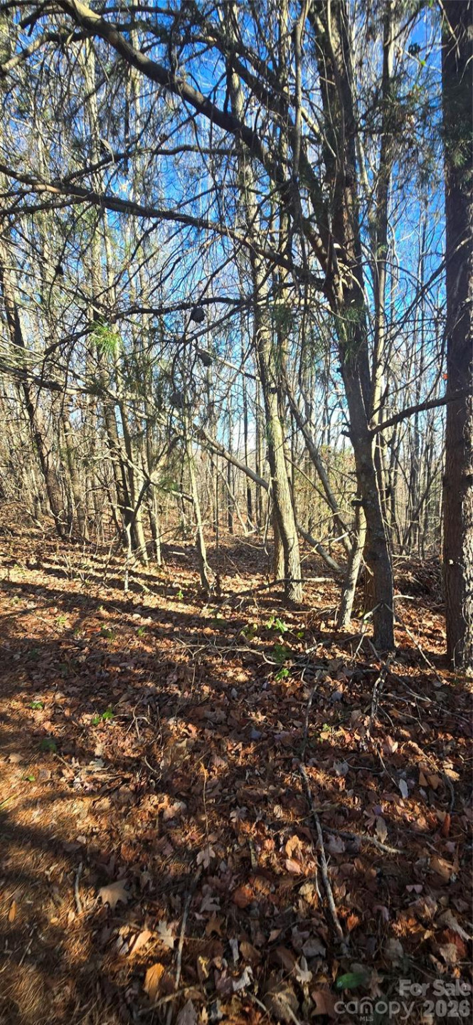 0 Gettys Road - Photo 3