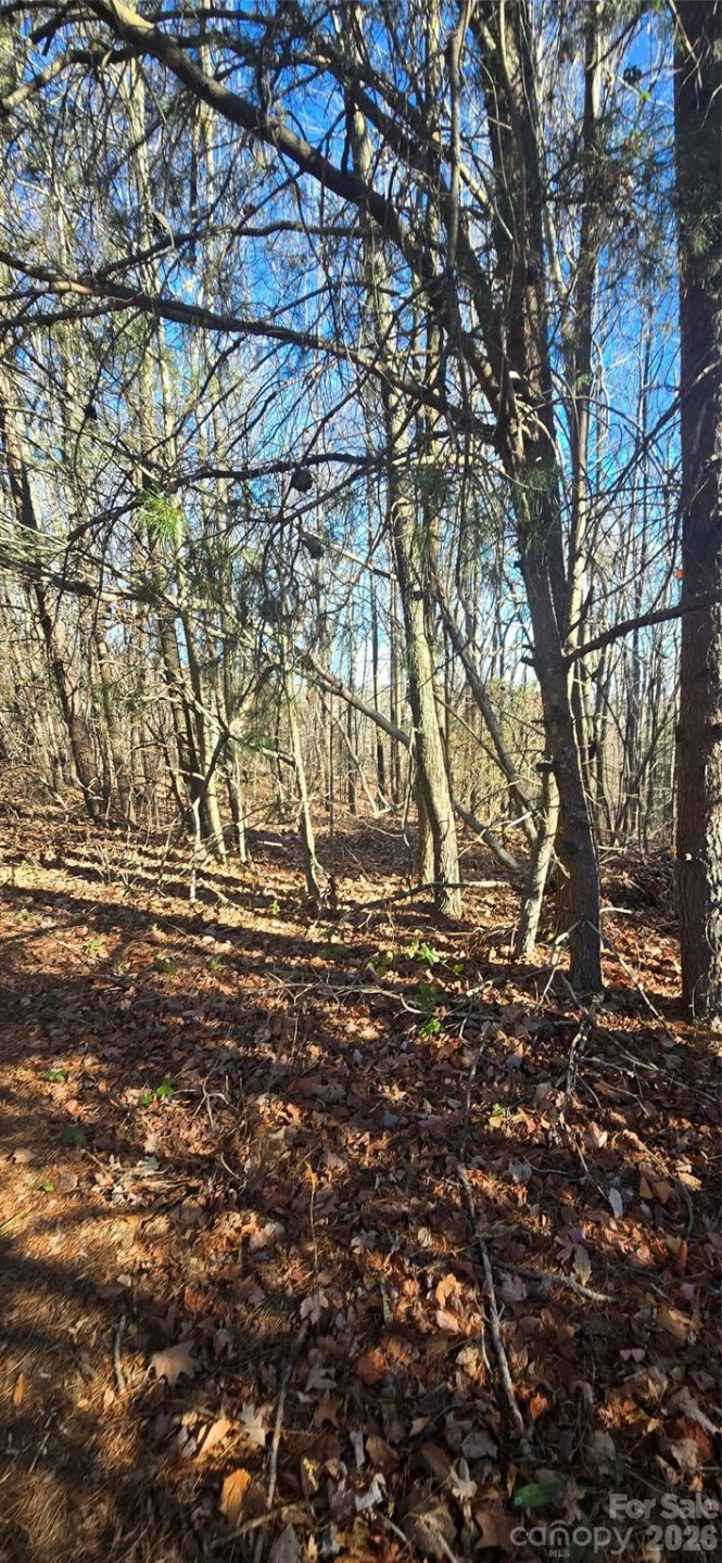 0 Gettys Road - Photo 3