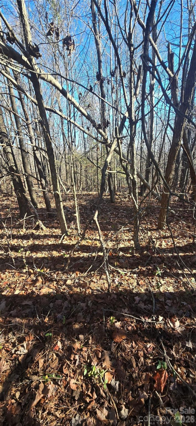 0 Gettys Road - Photo 4