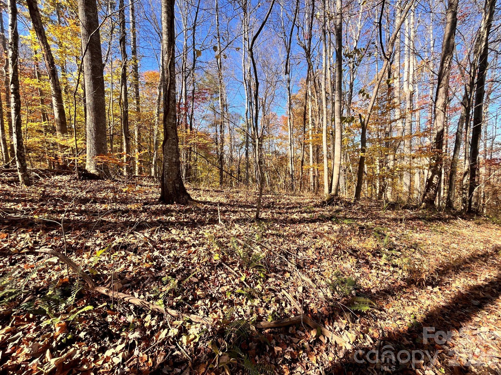 2381 Little Pine Road - Photo 36