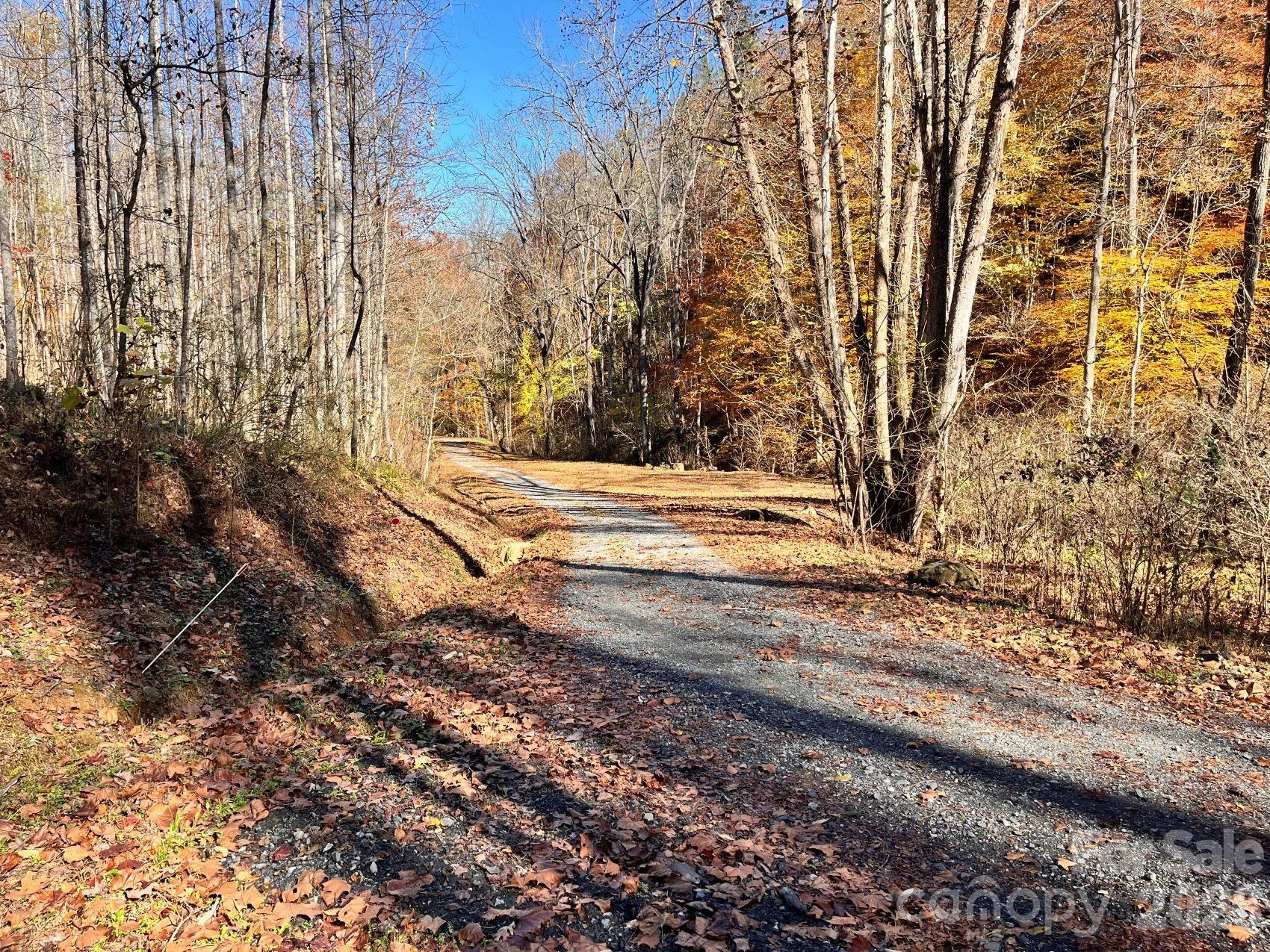 2381 Little Pine Road - Photo 39