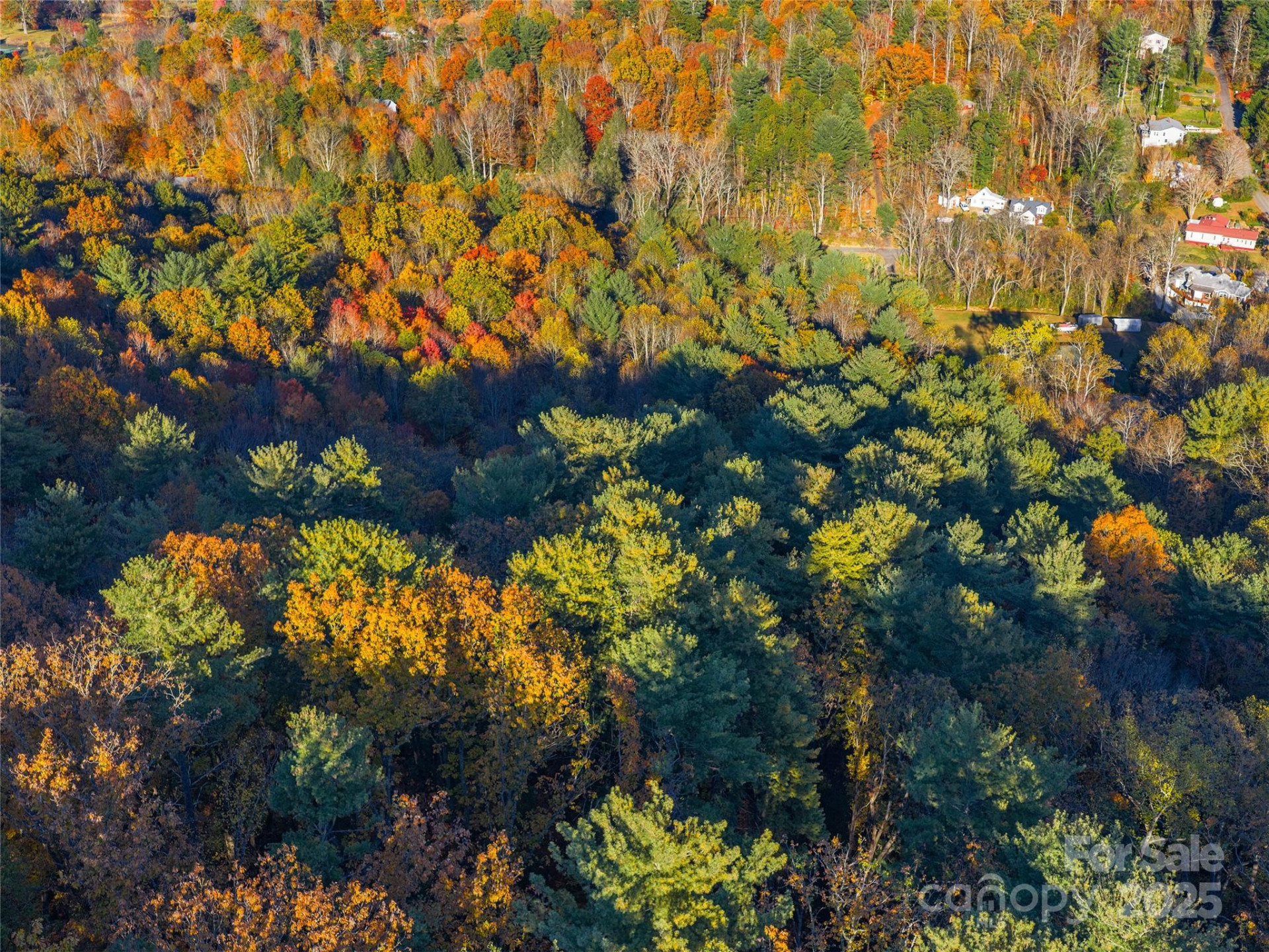 51 Rice Branch Road - Photo 2