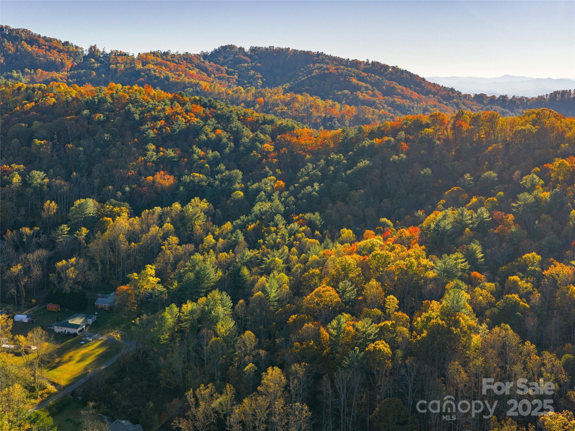 51 Rice Branch Road - Photo 3