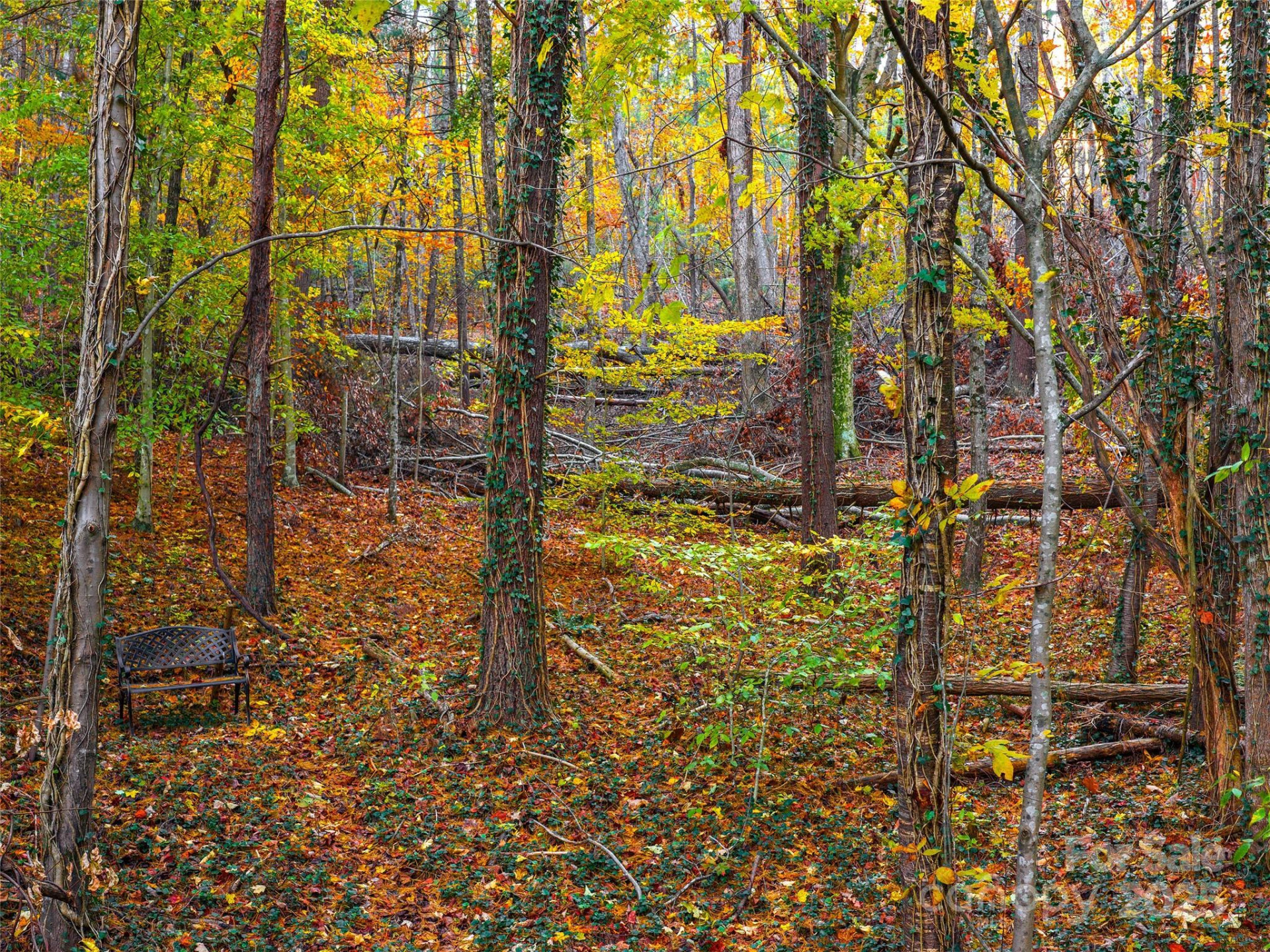 51 Rice Branch Road - Photo 6