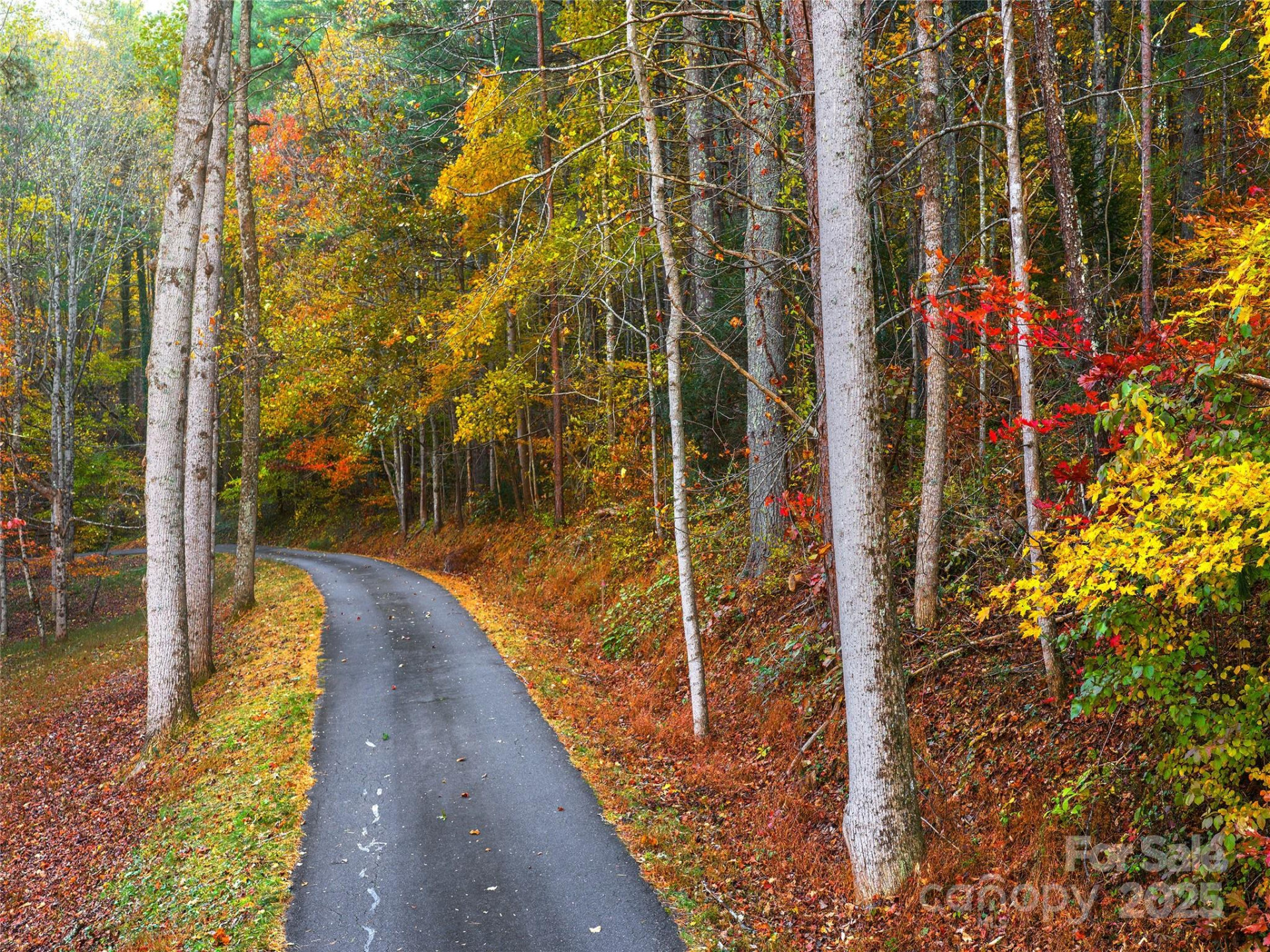 51 Rice Branch Road - Photo 7