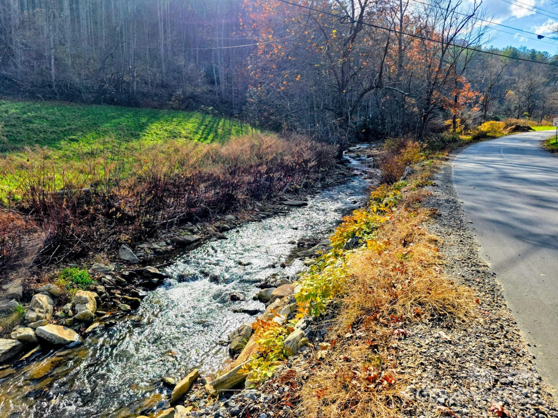 2812 Bald Mountain Road - Photo 12