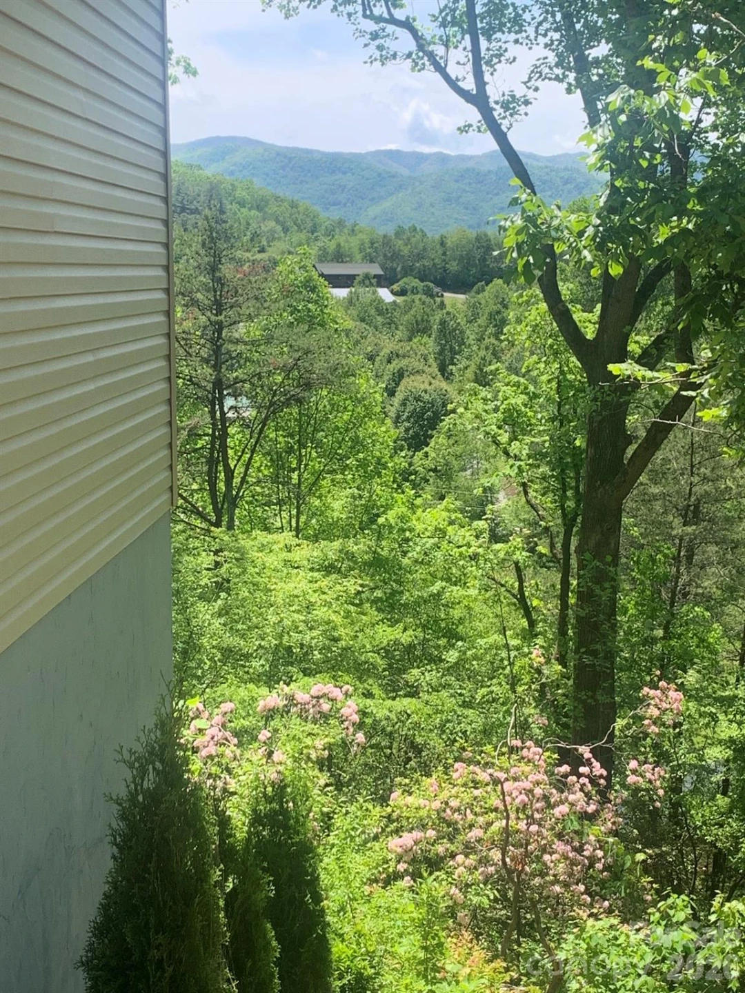 212 Brigsy Lane - Photo 46