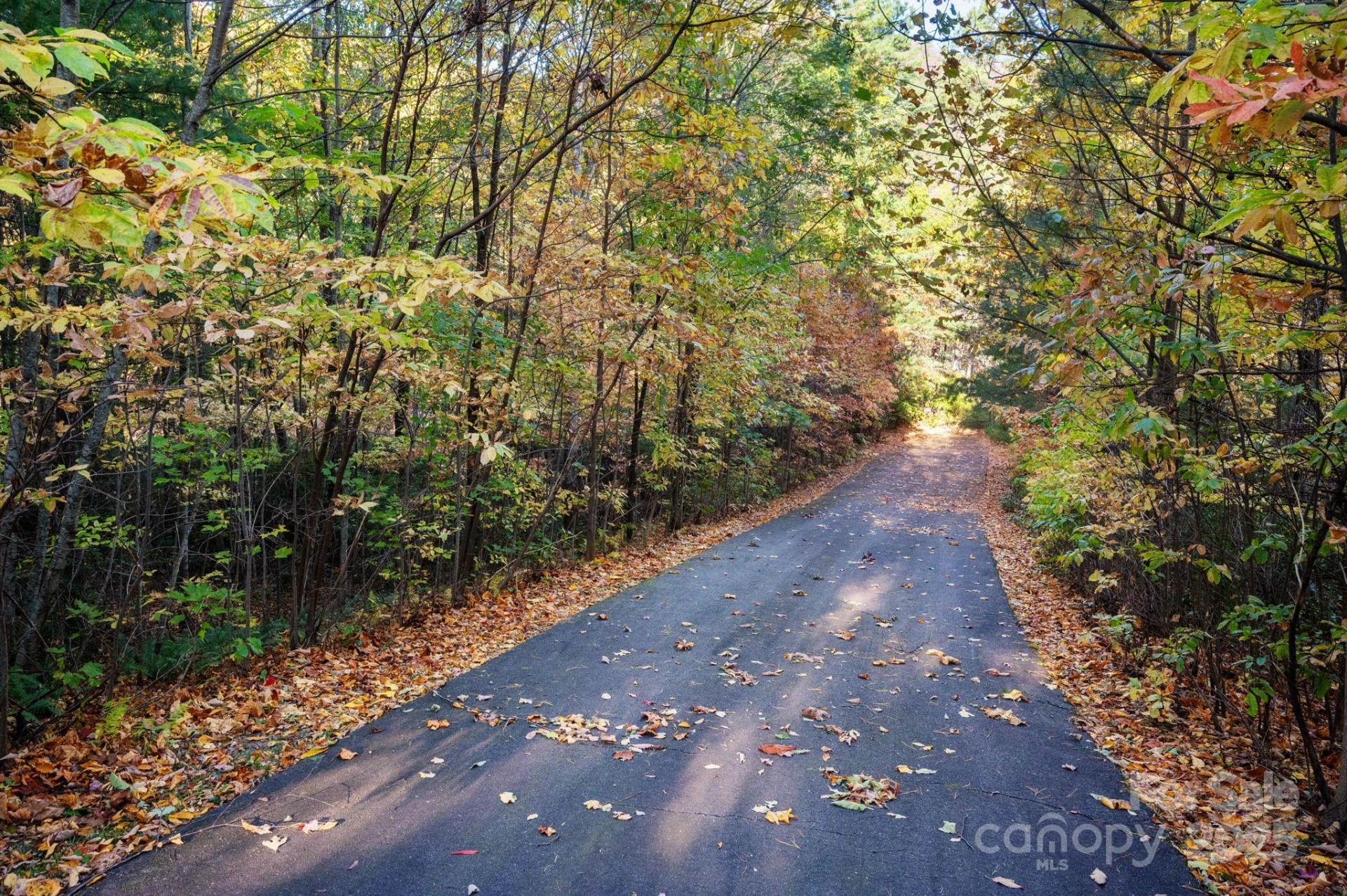 9 Wapama Falls Drive #17 - Photo 4