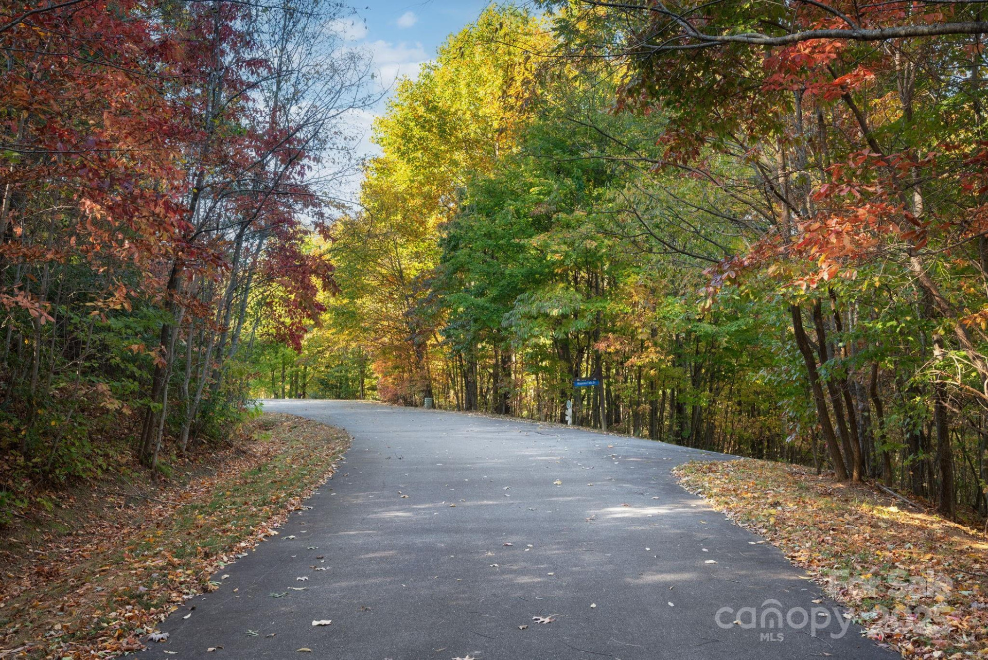 9 Wapama Falls Drive #17 - Photo 5