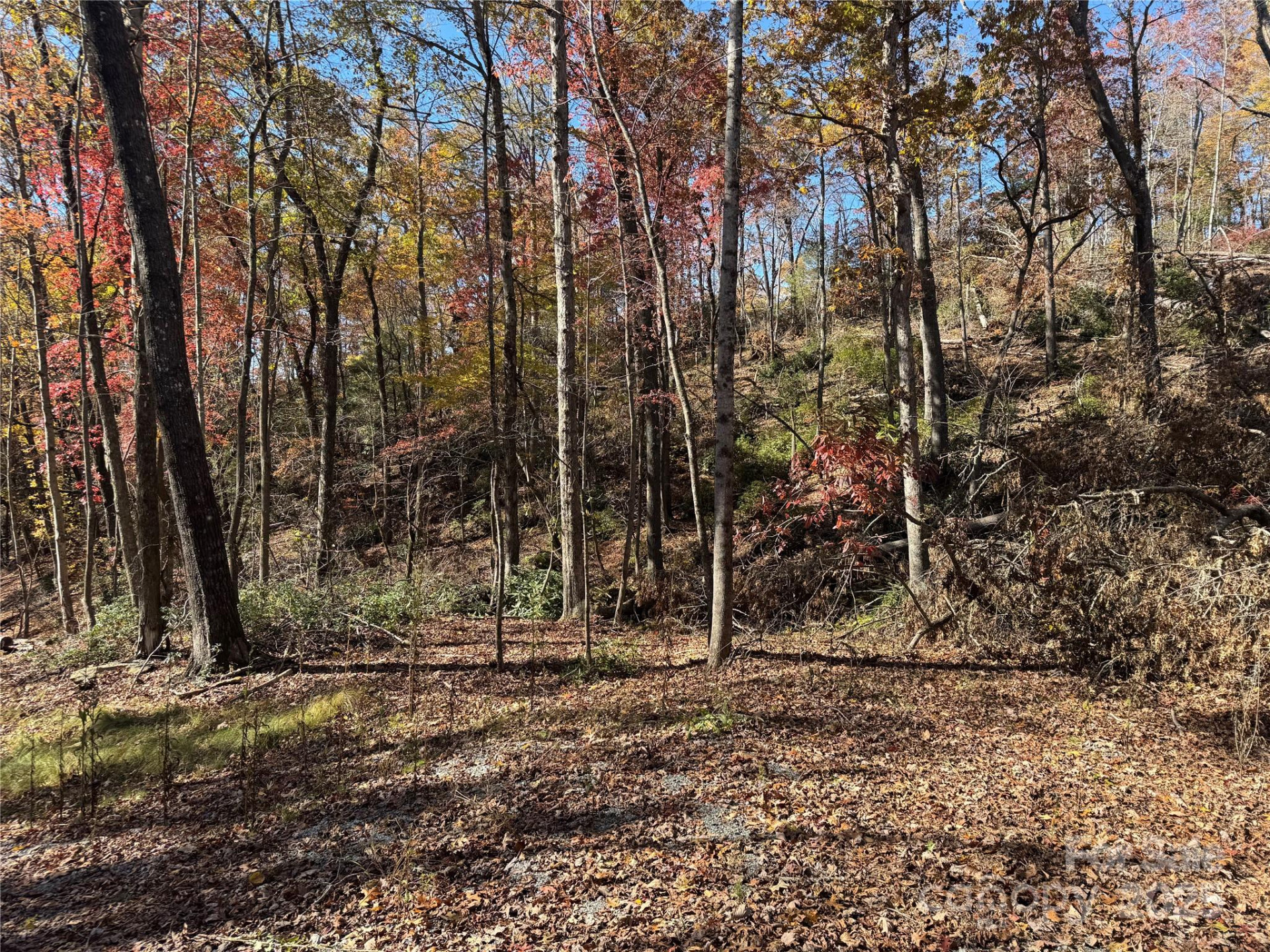 00 Normcol Road - Photo 3