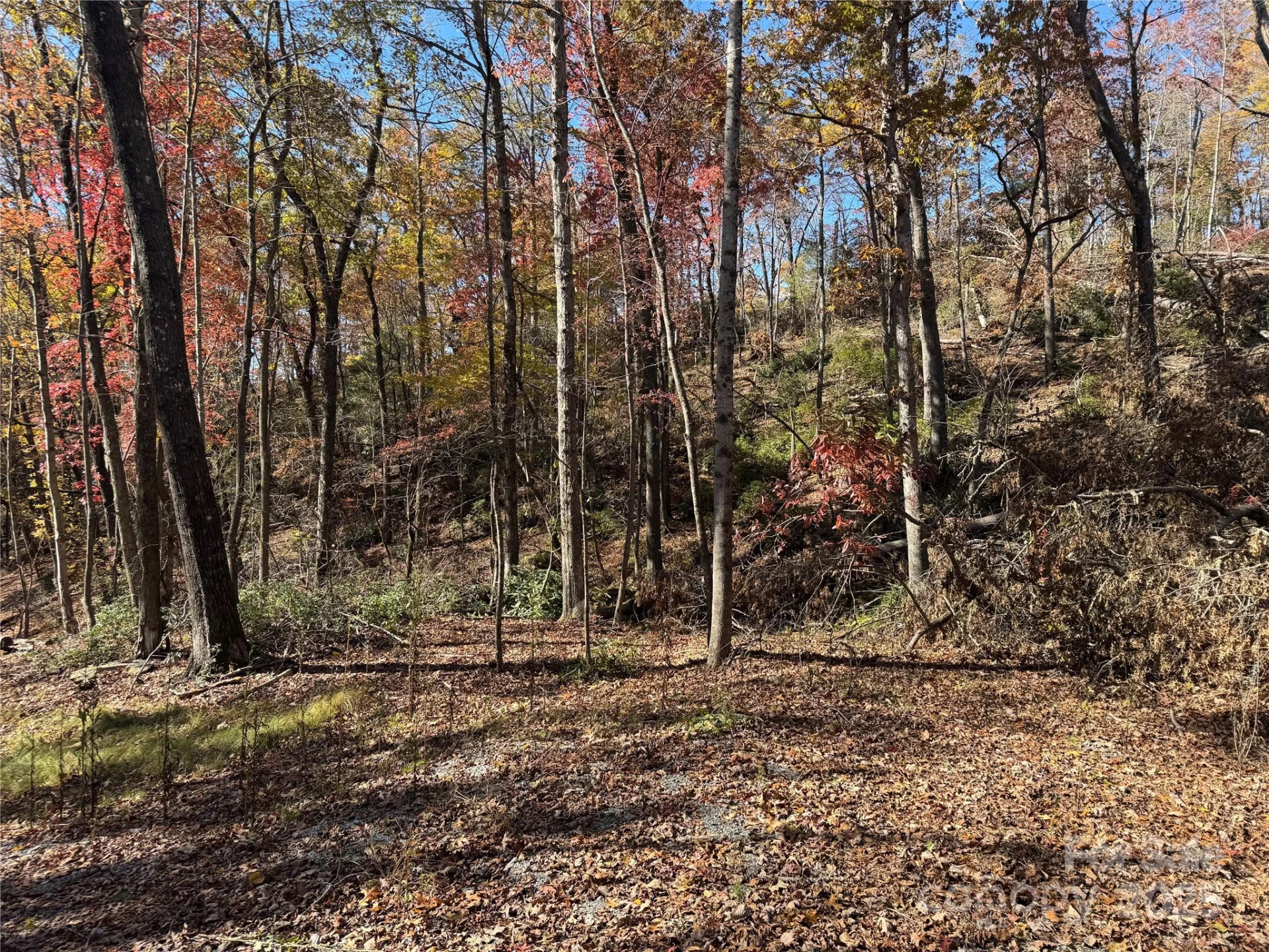 00 Normcol Road - Photo 3