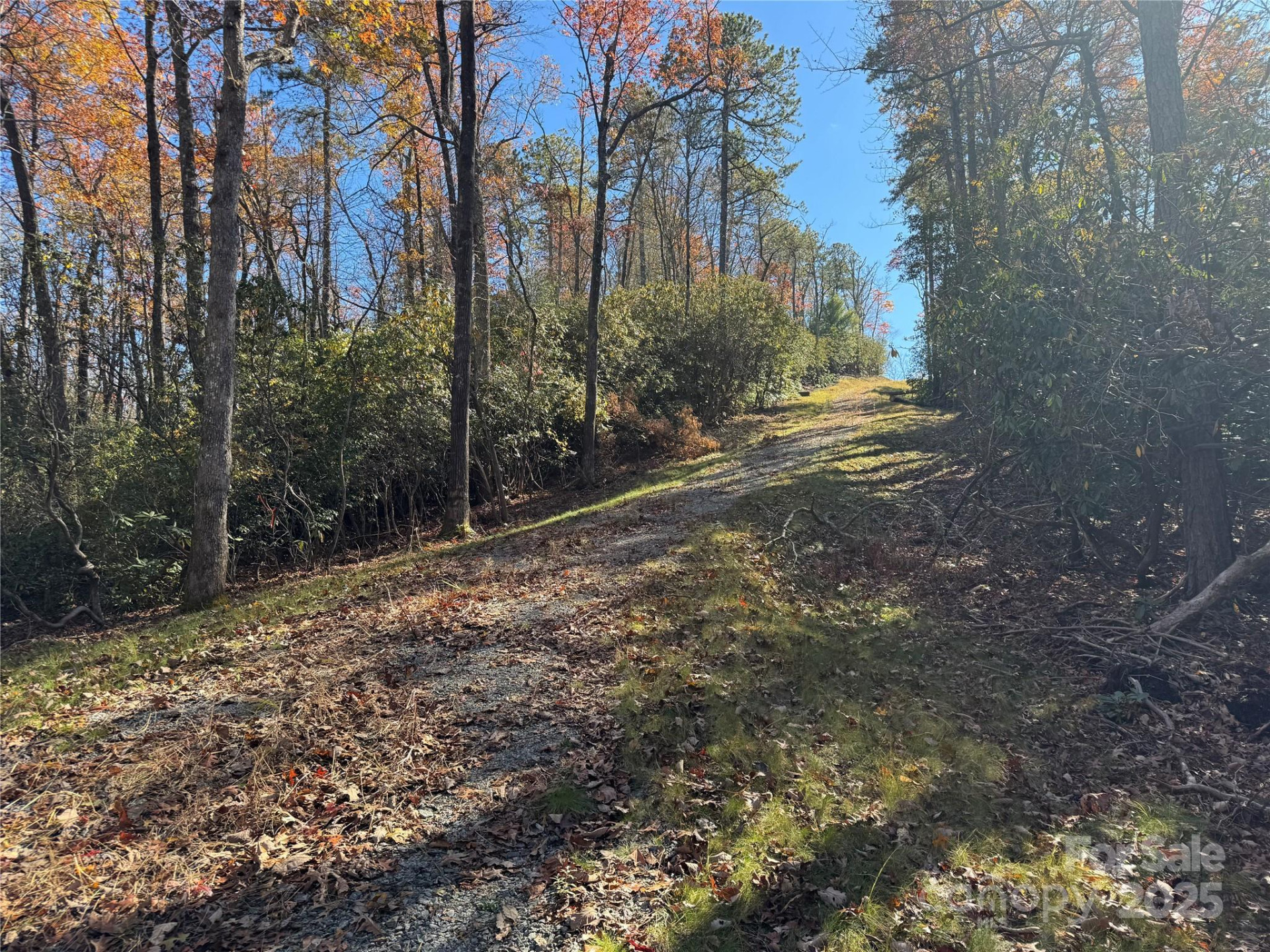 00 Normcol Road - Photo 4