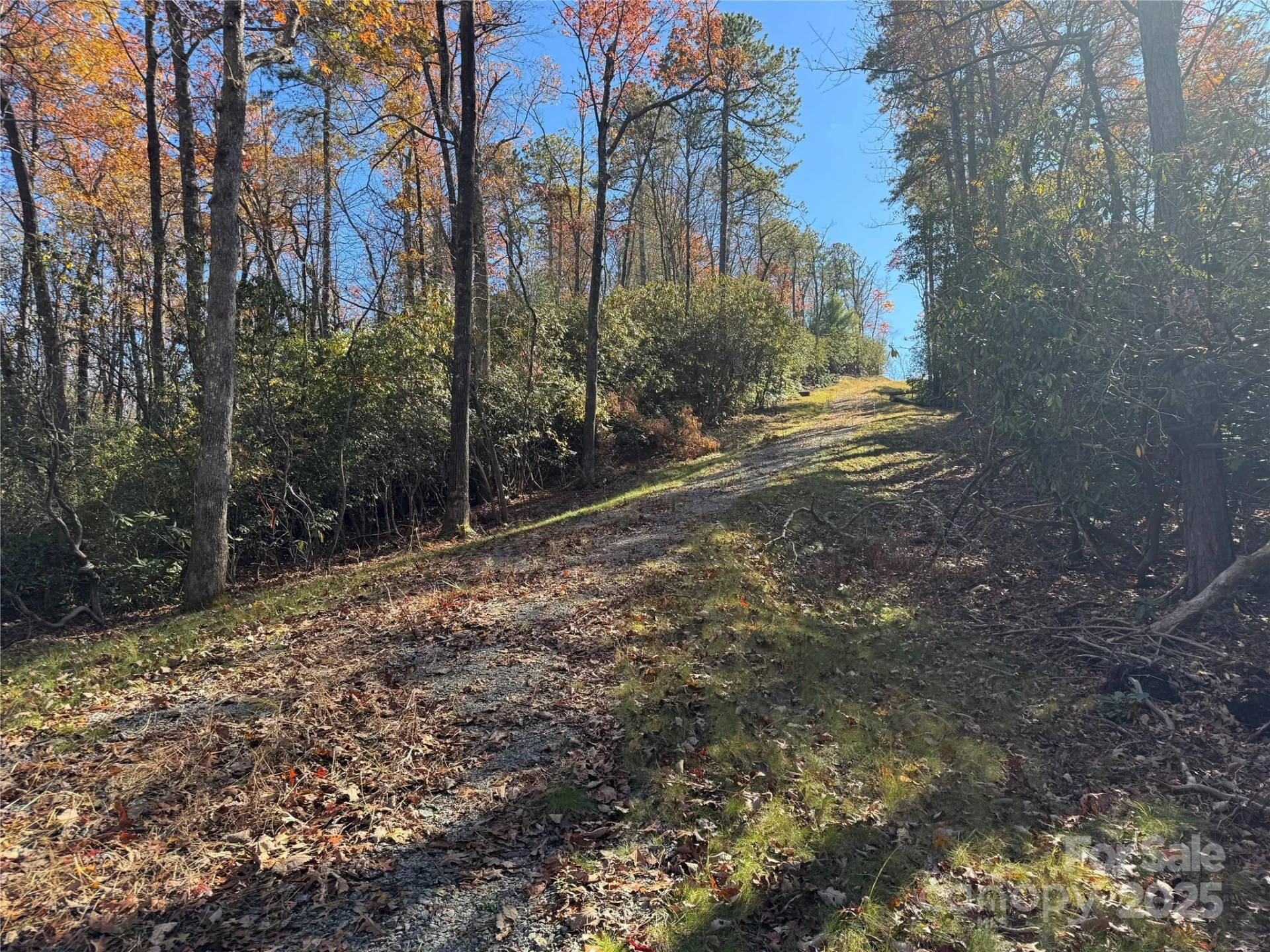00 Normcol Road - Photo 4