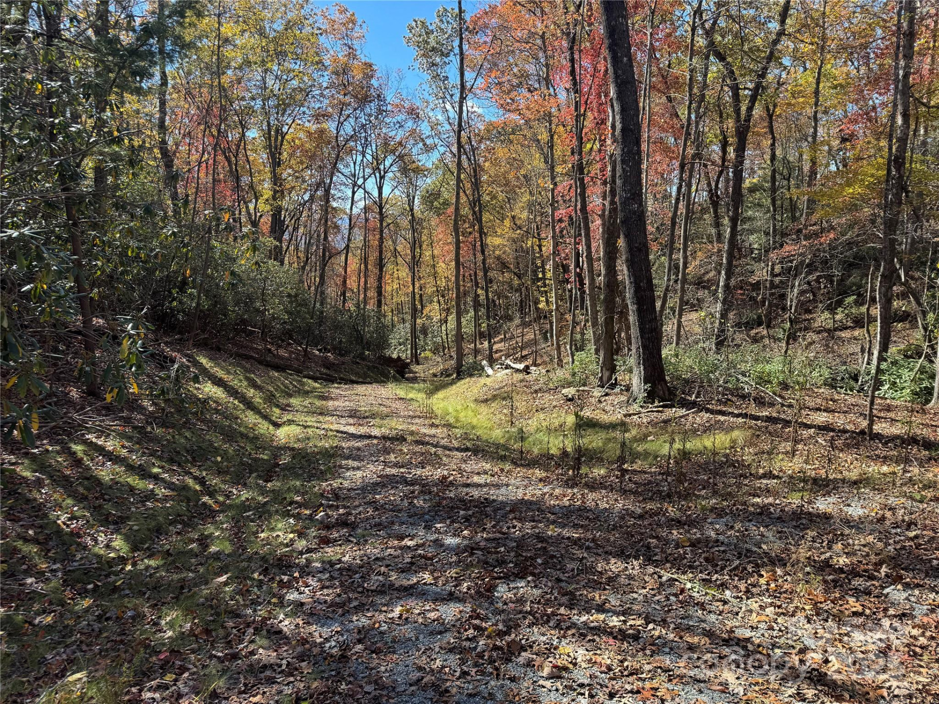 00 Normcol Road - Photo 5