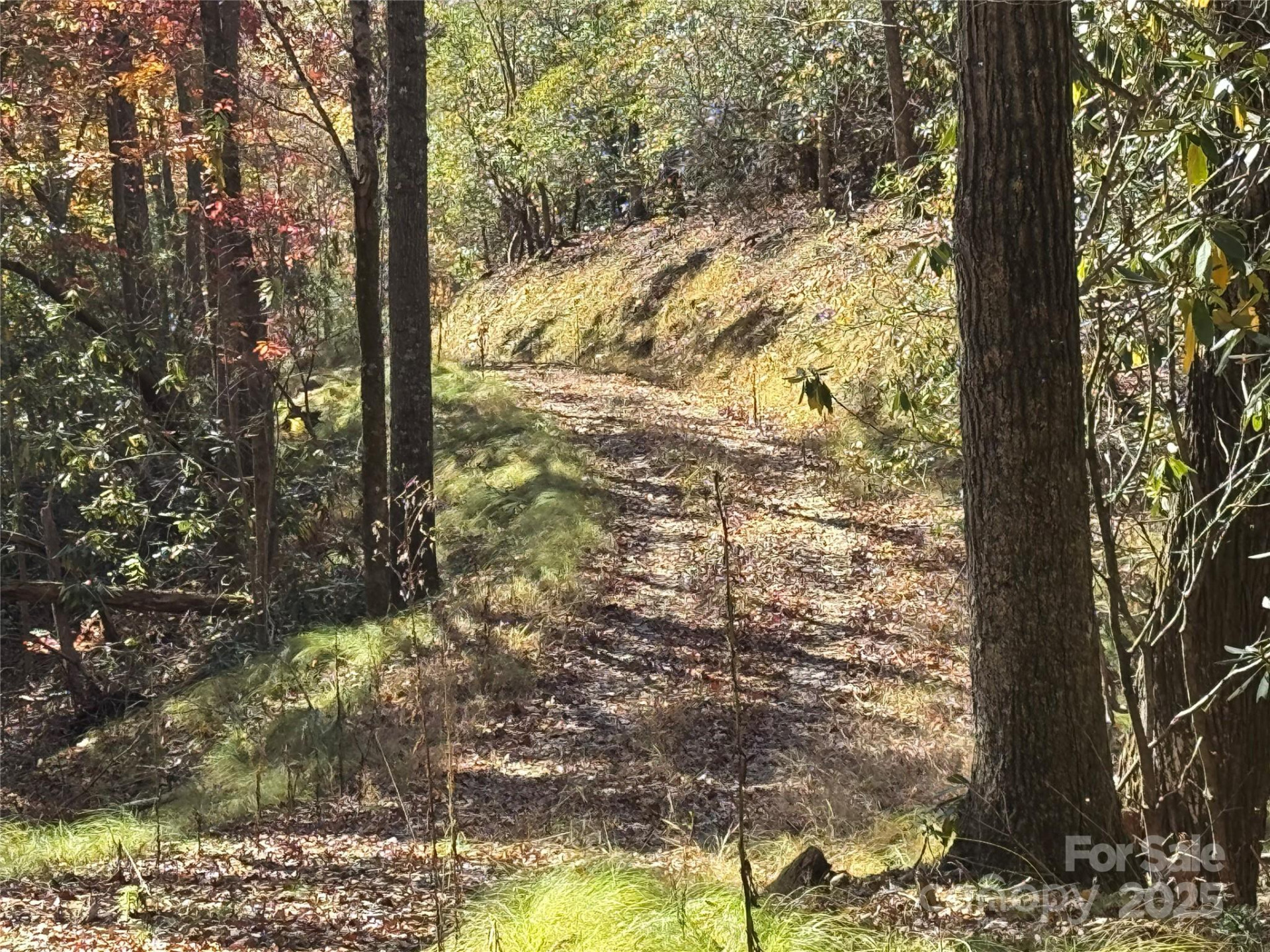 00 Normcol Road - Photo 6