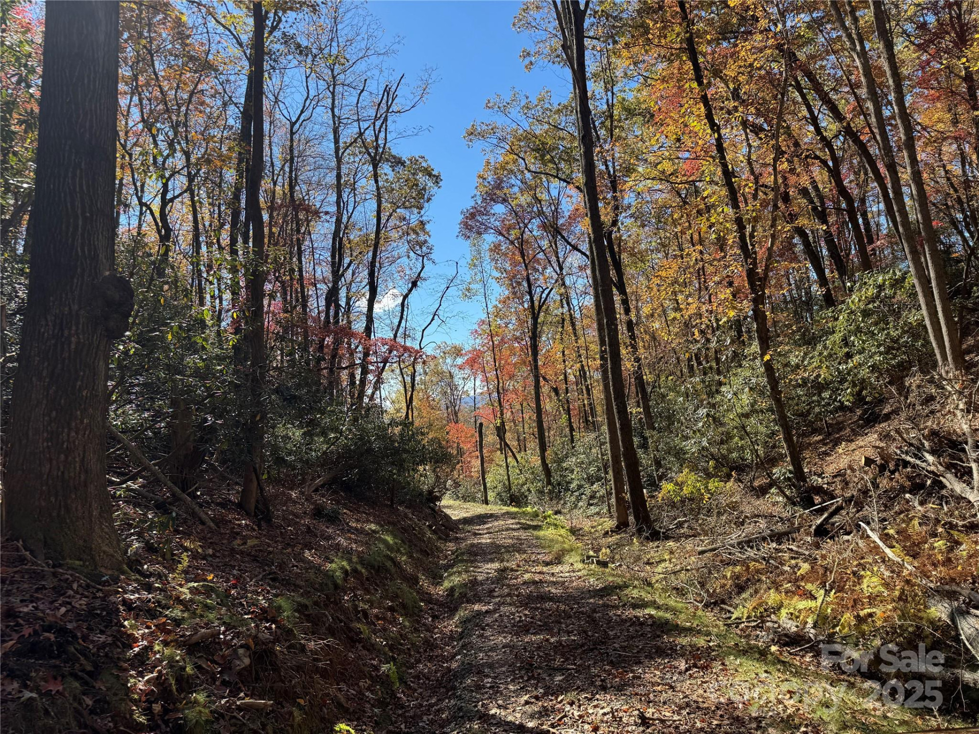 00 Normcol Road - Photo 7