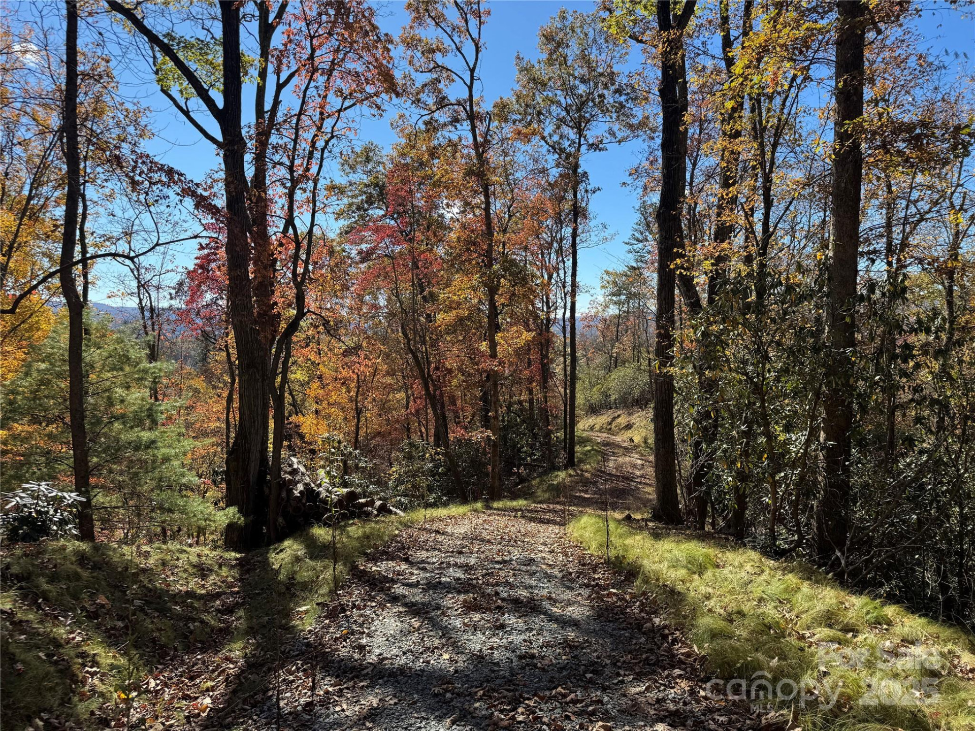 00 Normcol Road - Photo 8