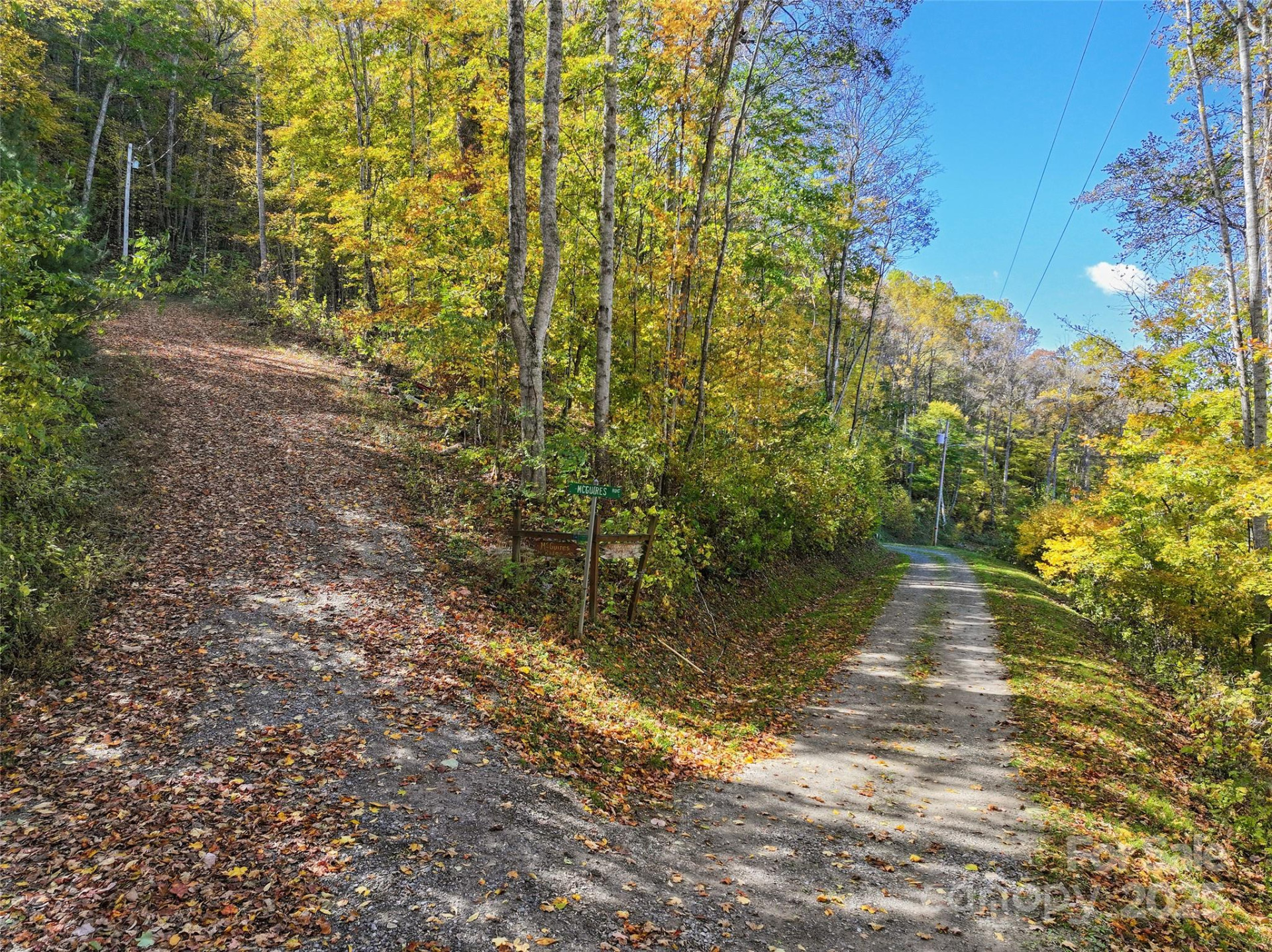 Lot 316 McGuires Ridge #316 - Photo 2