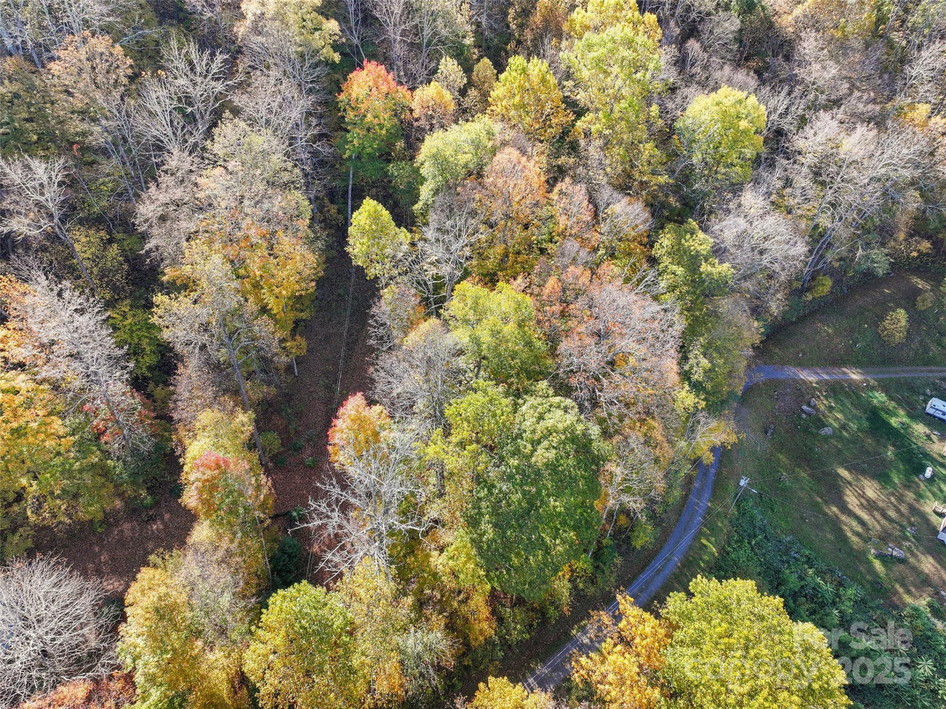 Lot 316 McGuires Ridge #316 - Photo 3