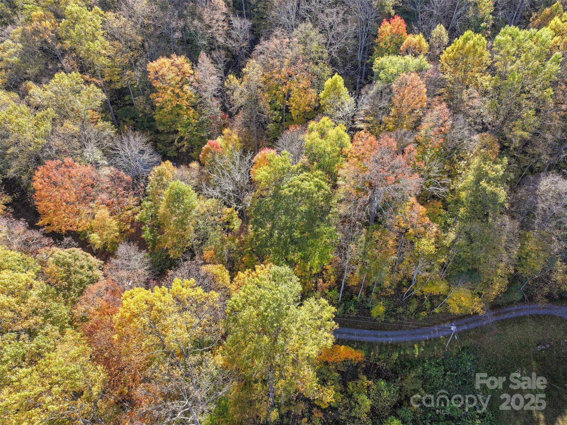 Lot 316 McGuires Ridge #316 - Photo 4