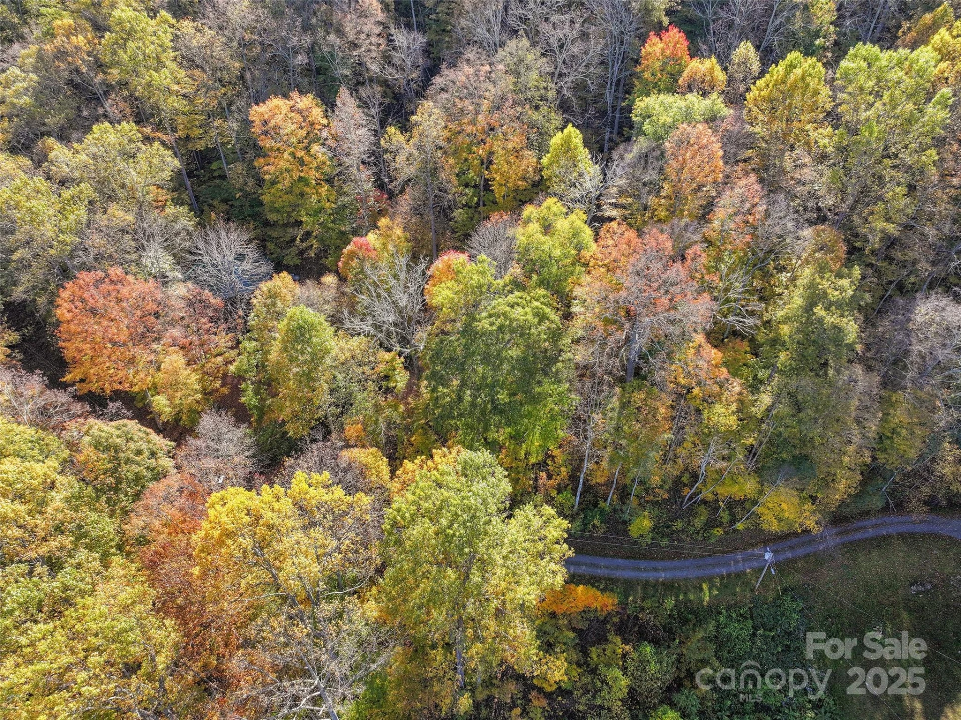 Lot 316 McGuires Ridge #316 - Photo 4