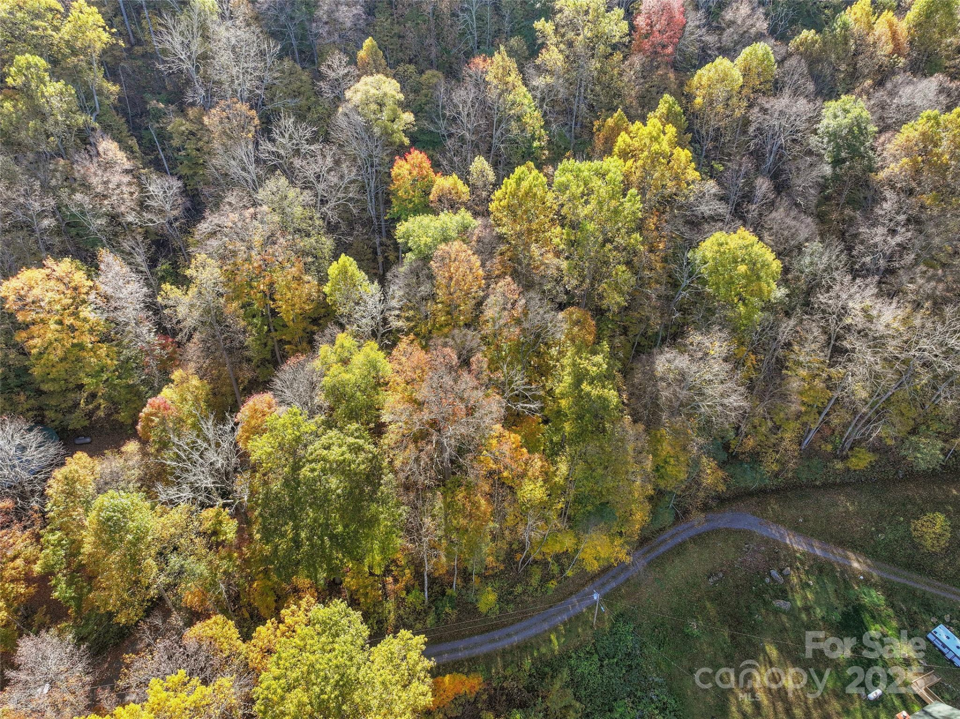 Lot 316 McGuires Ridge #316 - Photo 5