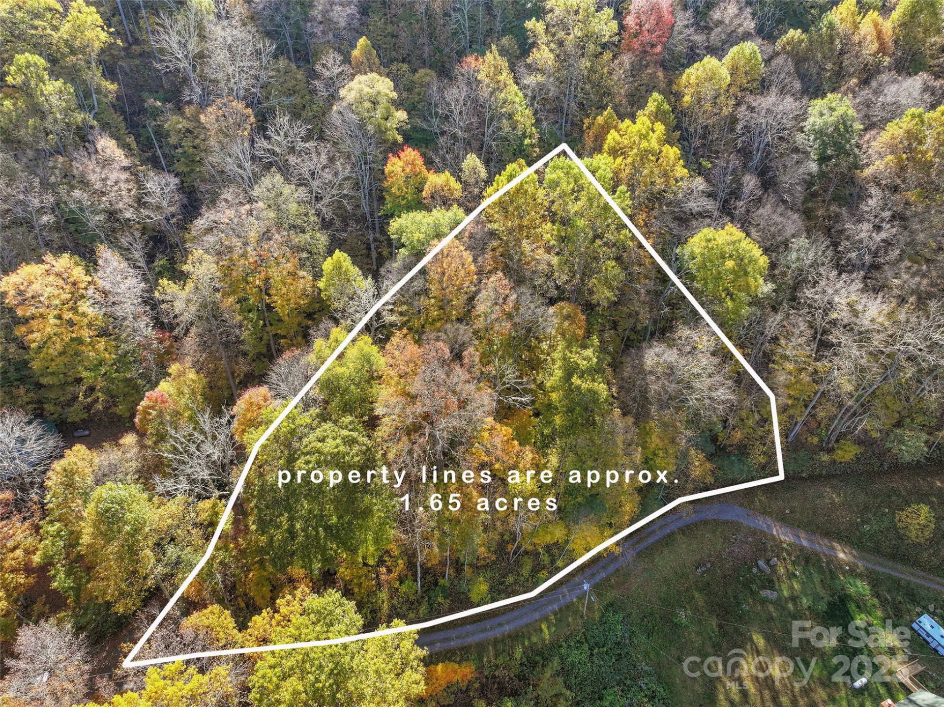 Lot 316 McGuires Ridge #316 - Photo 6