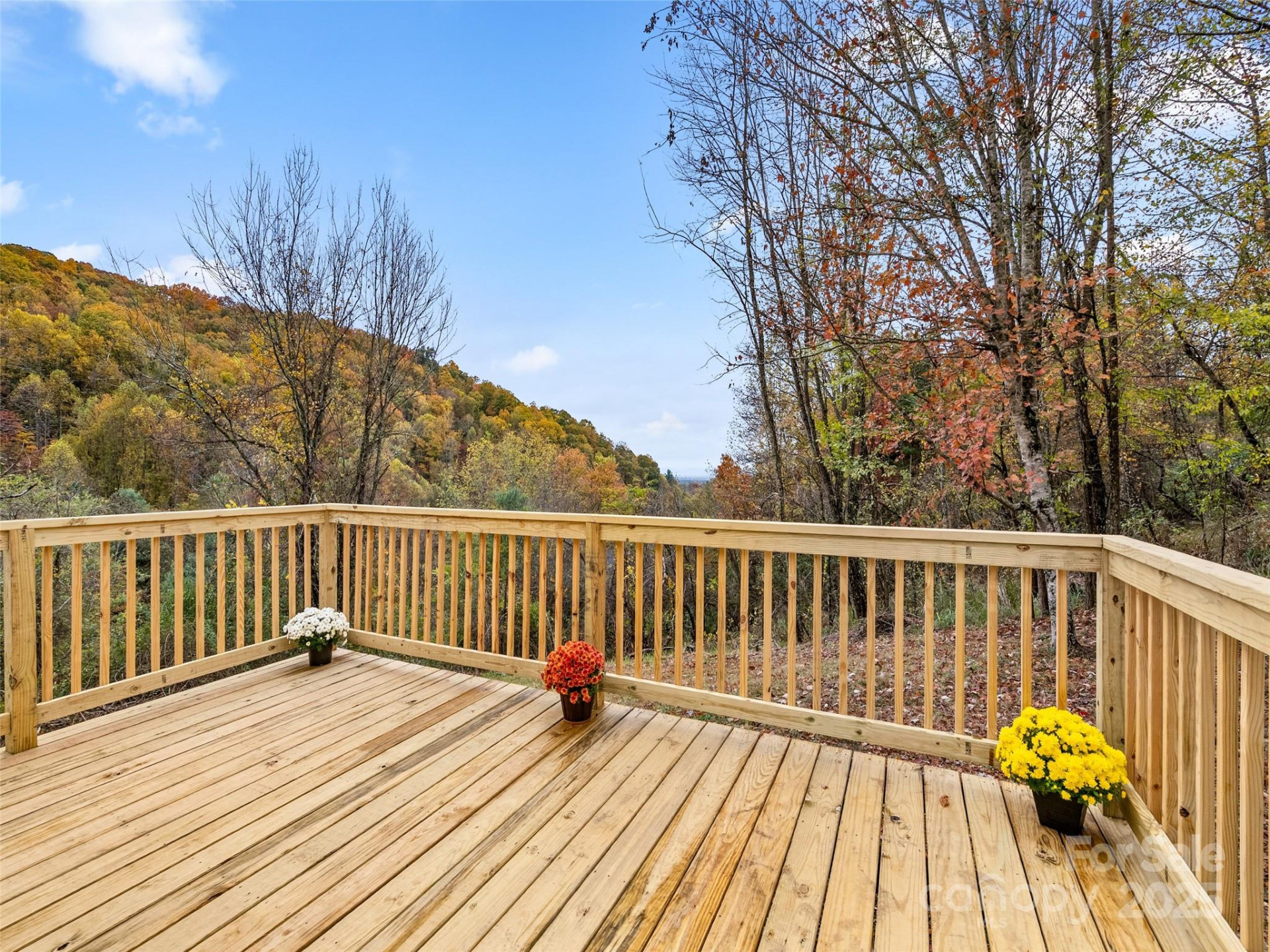 341 Green Meadow Lane - Photo 27