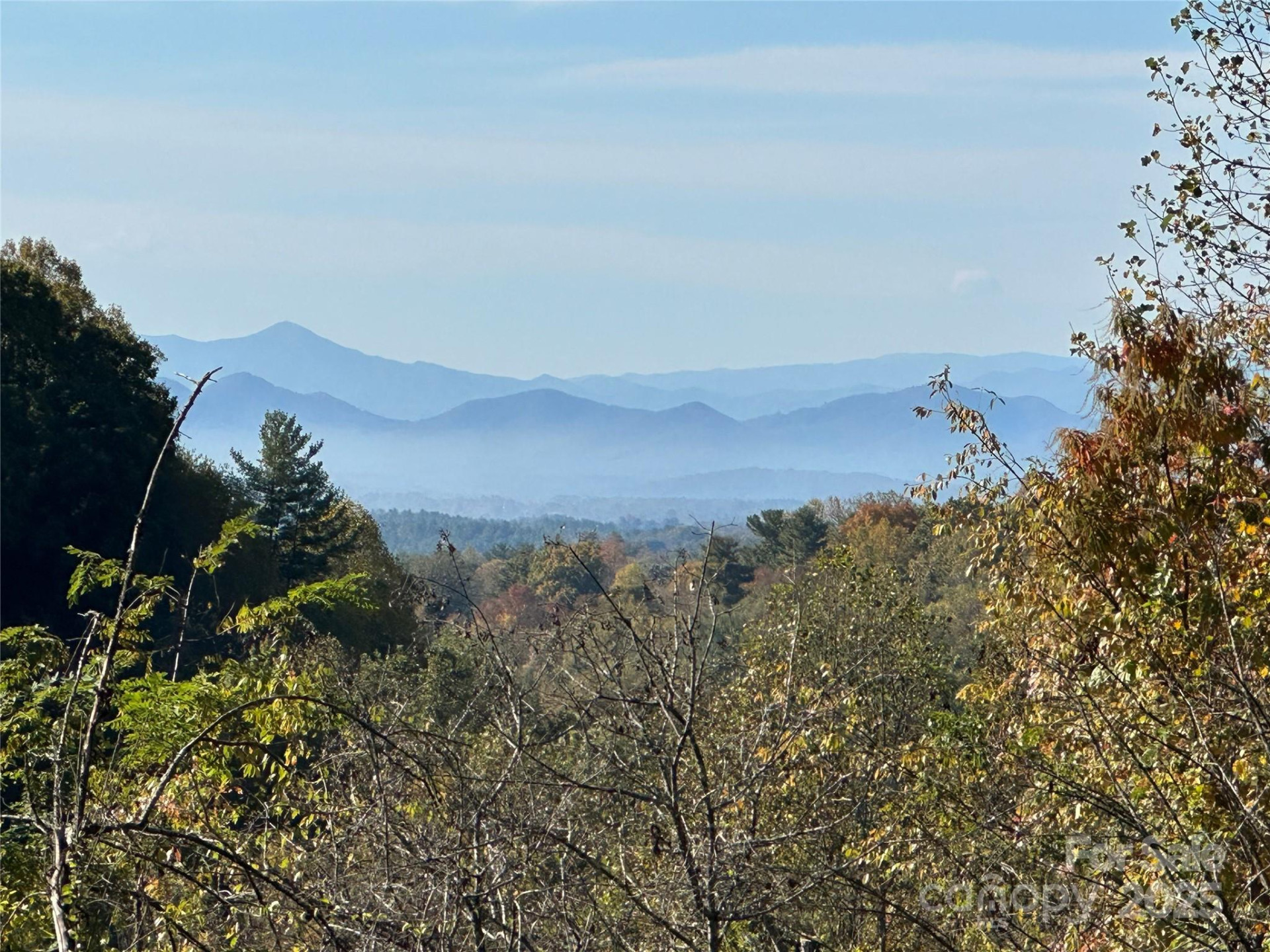 341 Green Meadow Lane - Photo 4