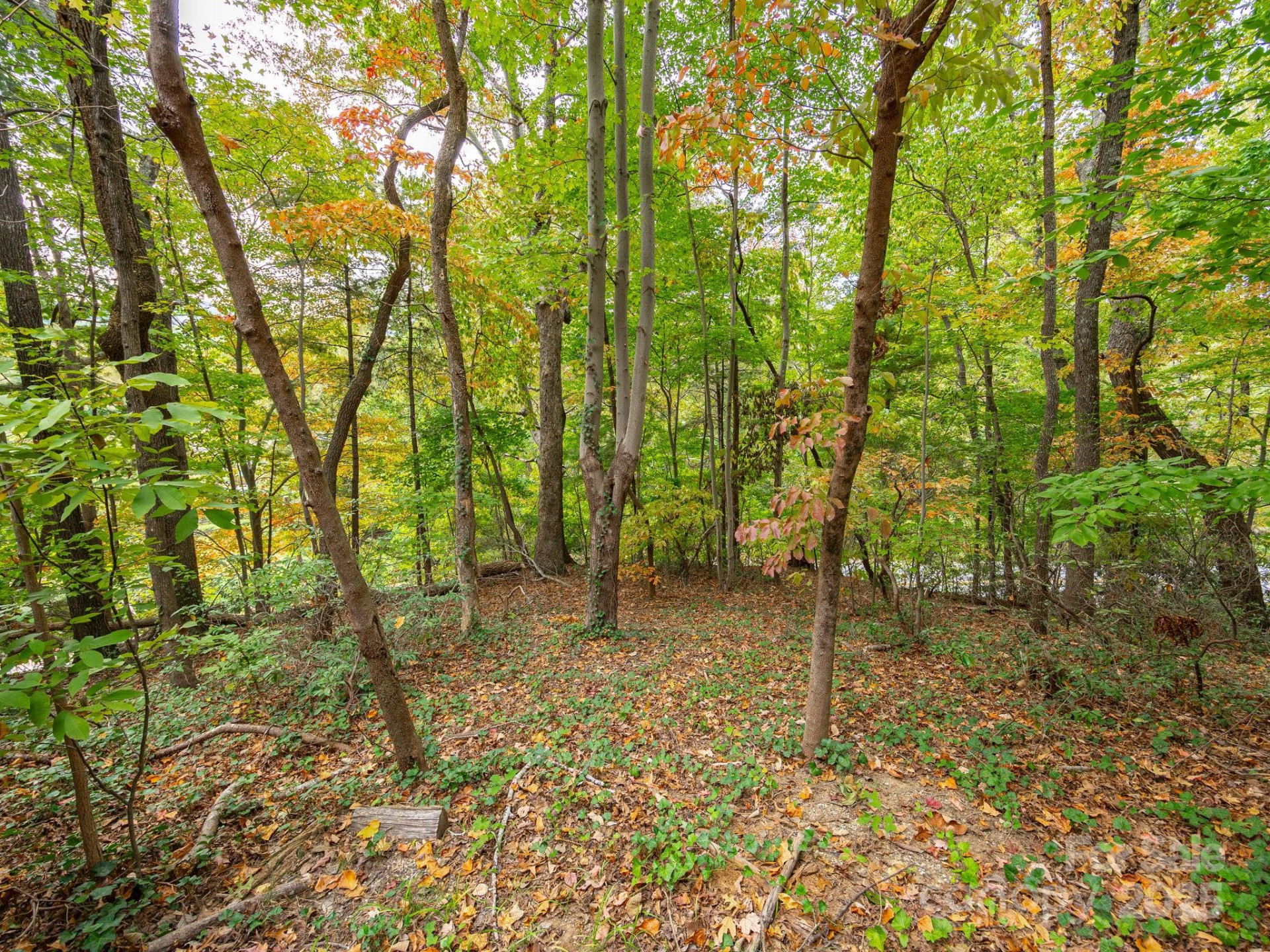 00 Fox Trot Lane - Photo 3