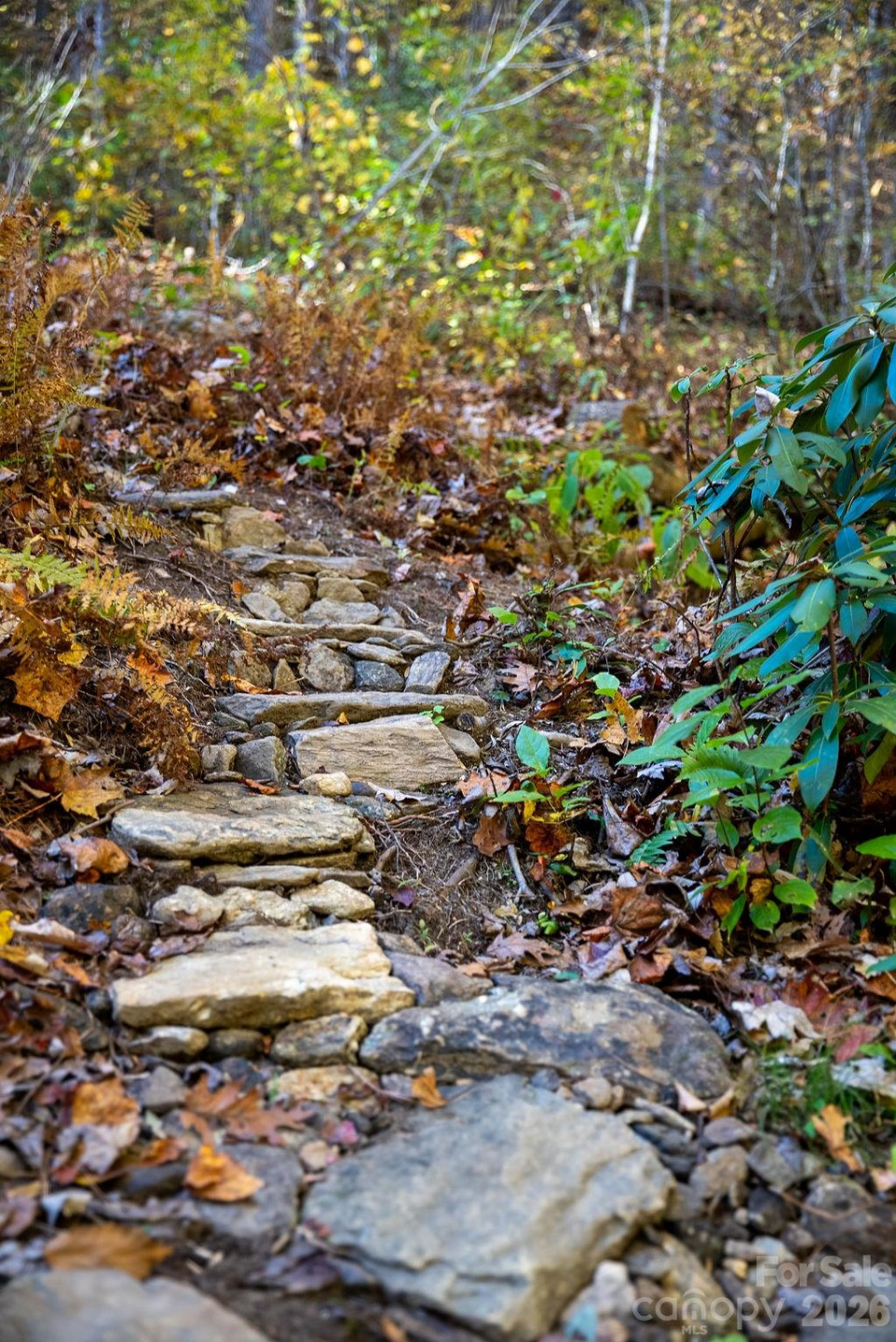 808 Mountain Cove Road - Photo 28