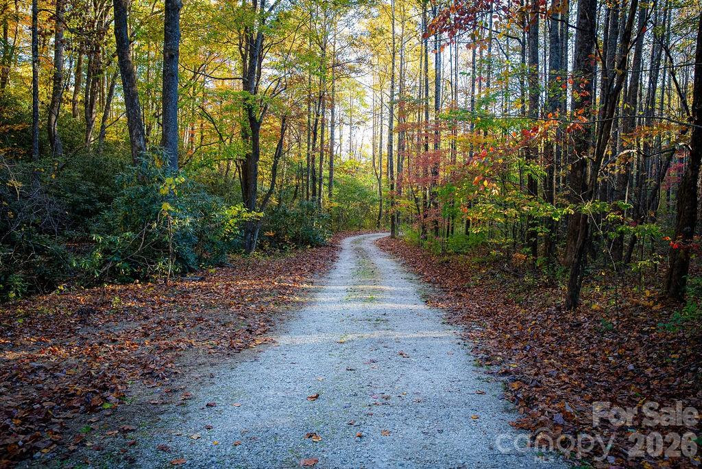 808 Mountain Cove Road - Photo 32