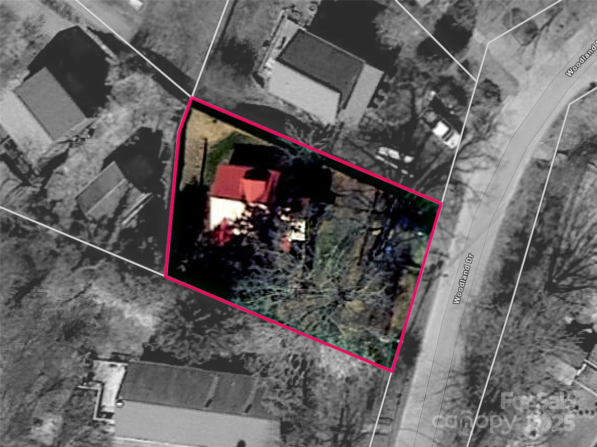 12 Woodland Drive - Photo 29