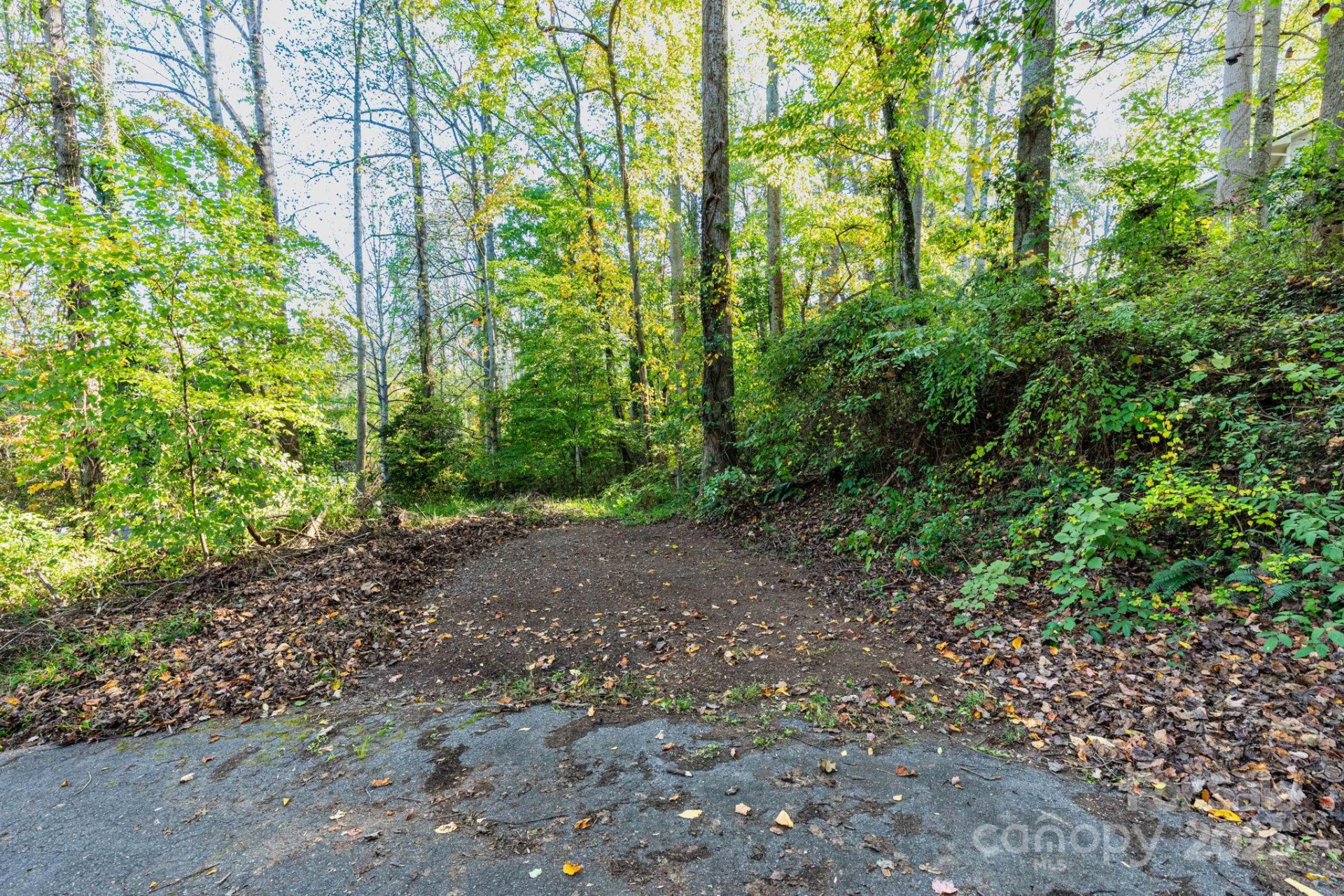 114 Courtney Lane - Photo 27
