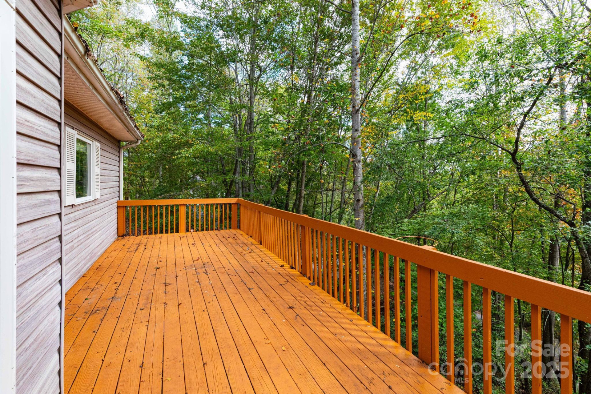 114 Courtney Lane - Photo 28